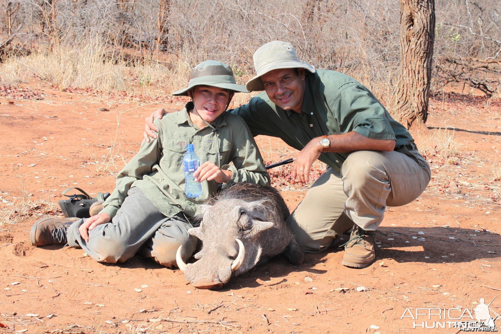 Warthog hunted in Zimbabwe