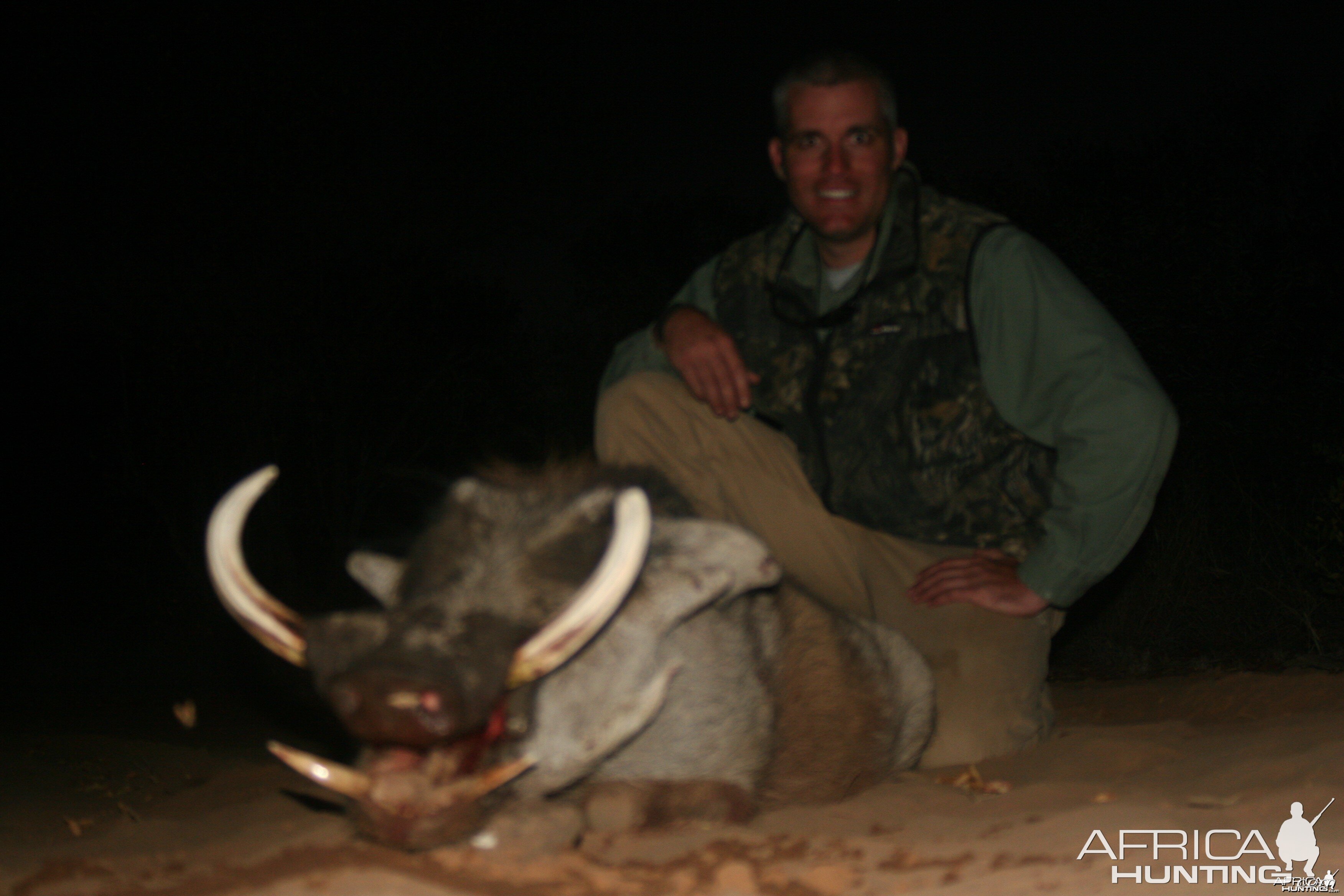 Warthog Hunted w/ Motshwere Safaris