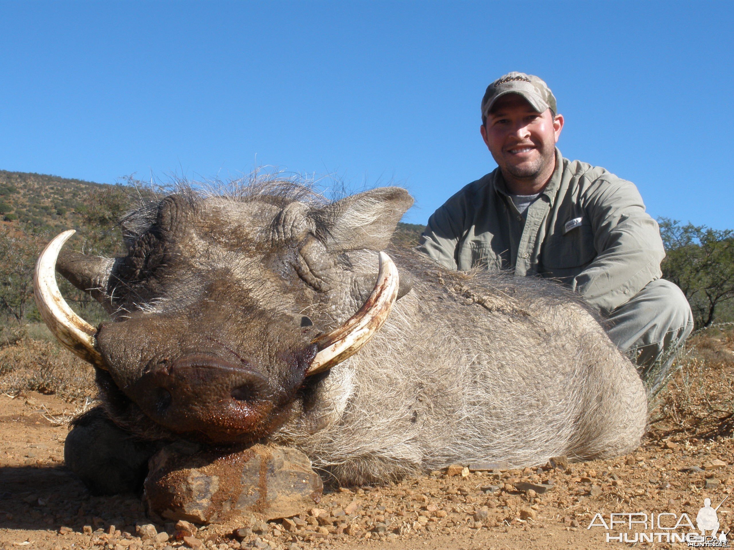 Warthog hunted with Andrew Harvey Safaris