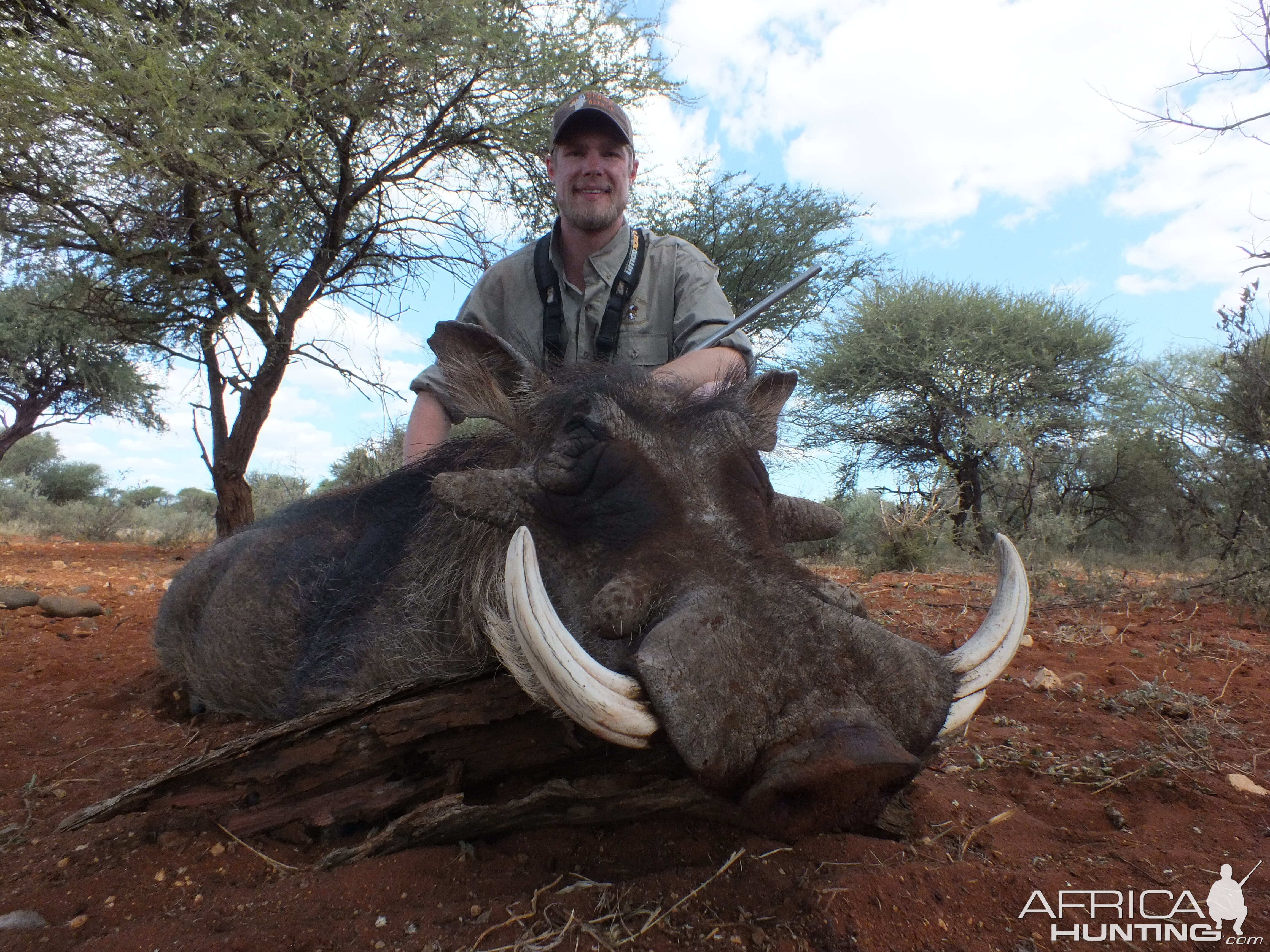 Warthog hunted with Limcroma Safaris