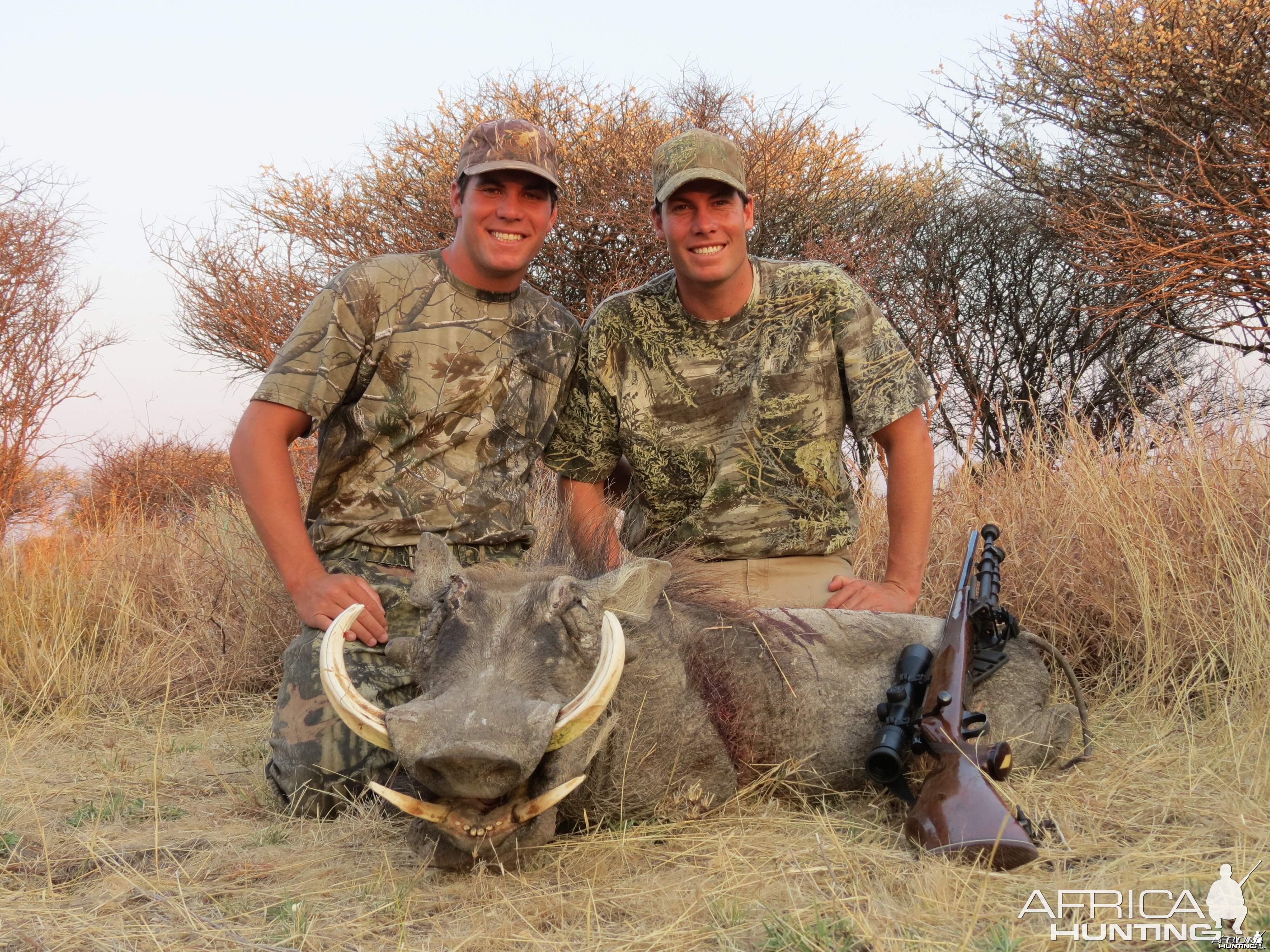 Warthog hunted with Ozondjahe Hunting Safaris in Namibia