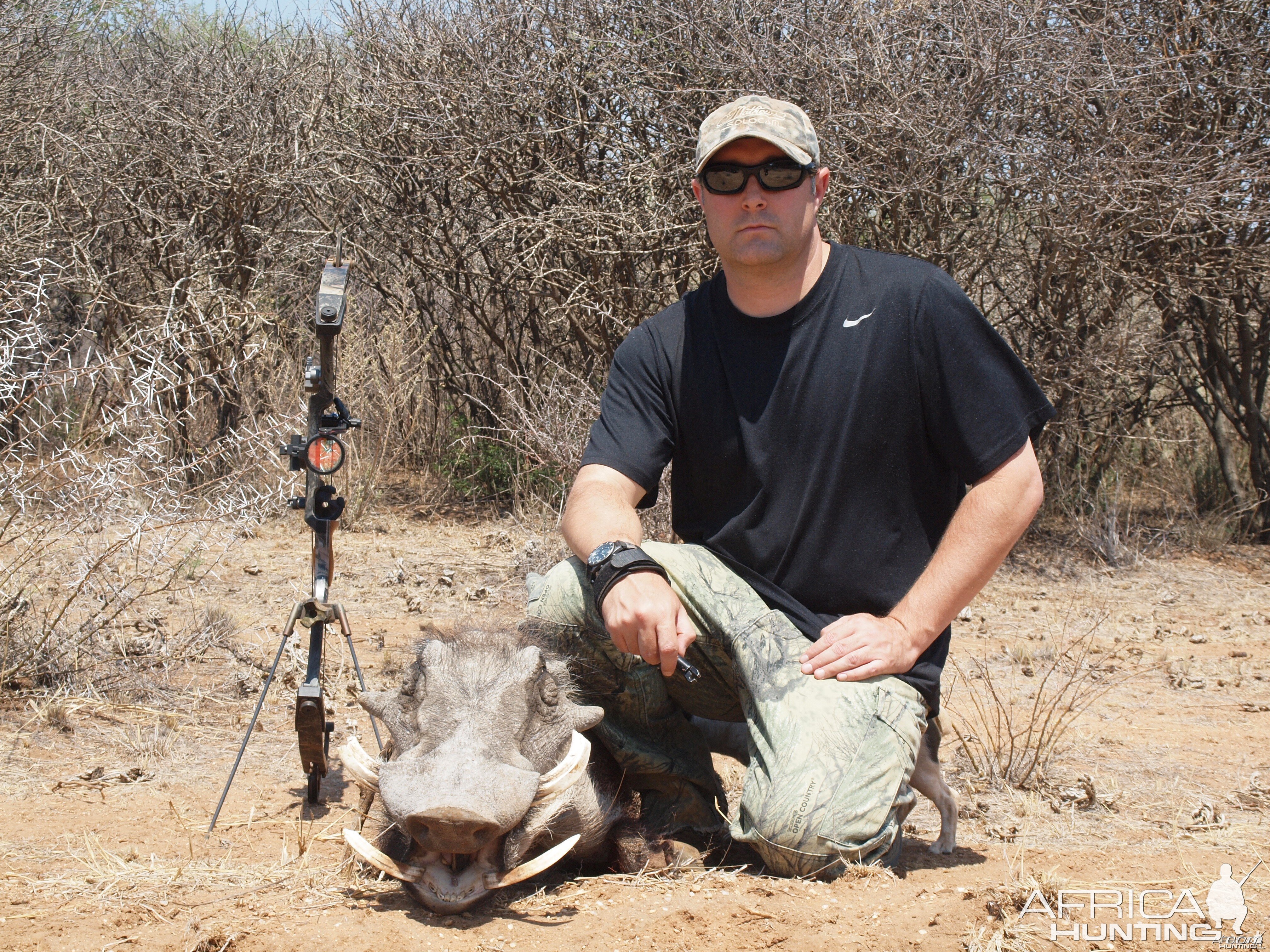 Warthog hunted with Ozondjahe Hunting Safaris in Namibia