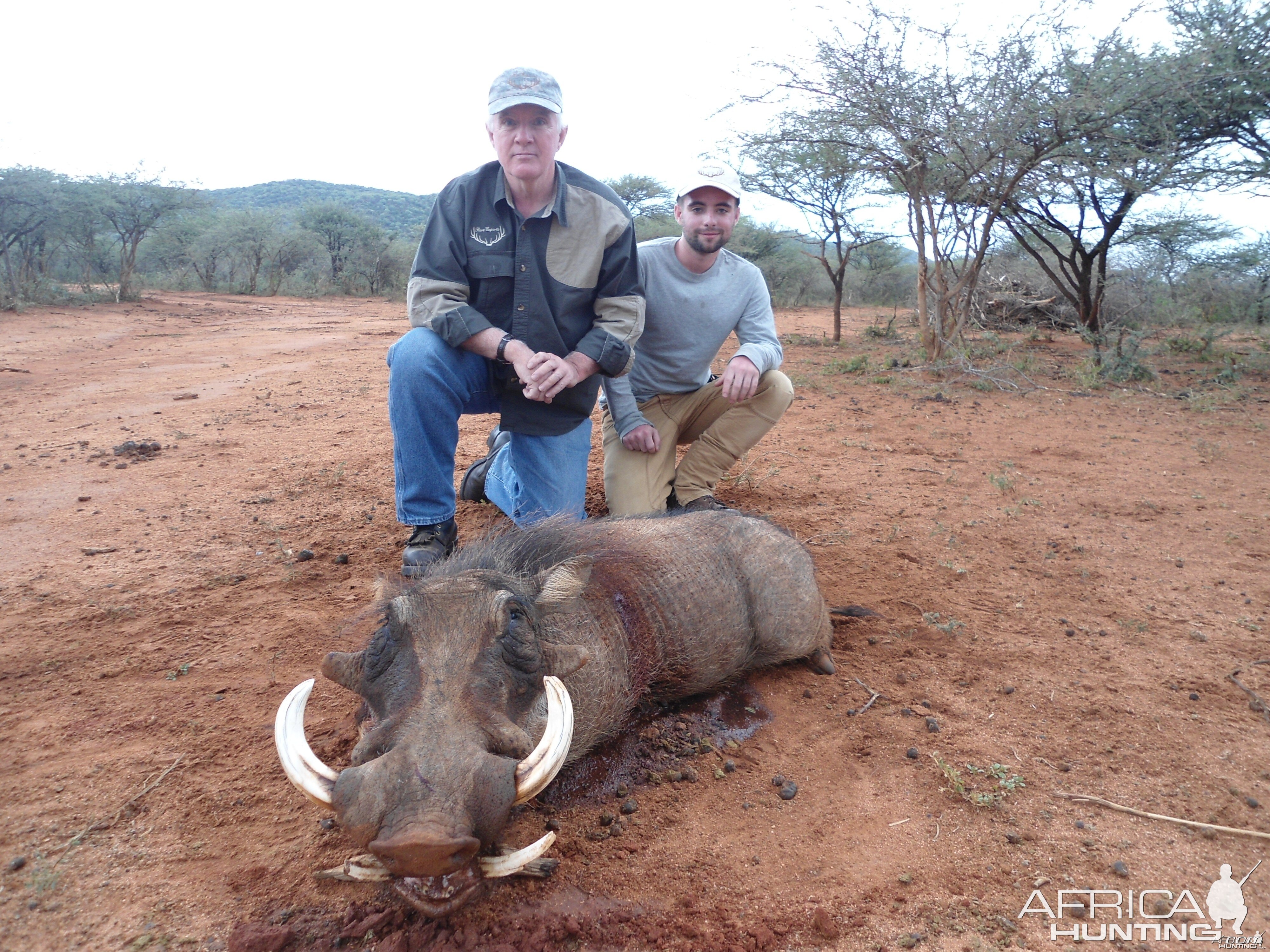 Warthog hunted with Ozondjahe Hunting Safaris in Namibia