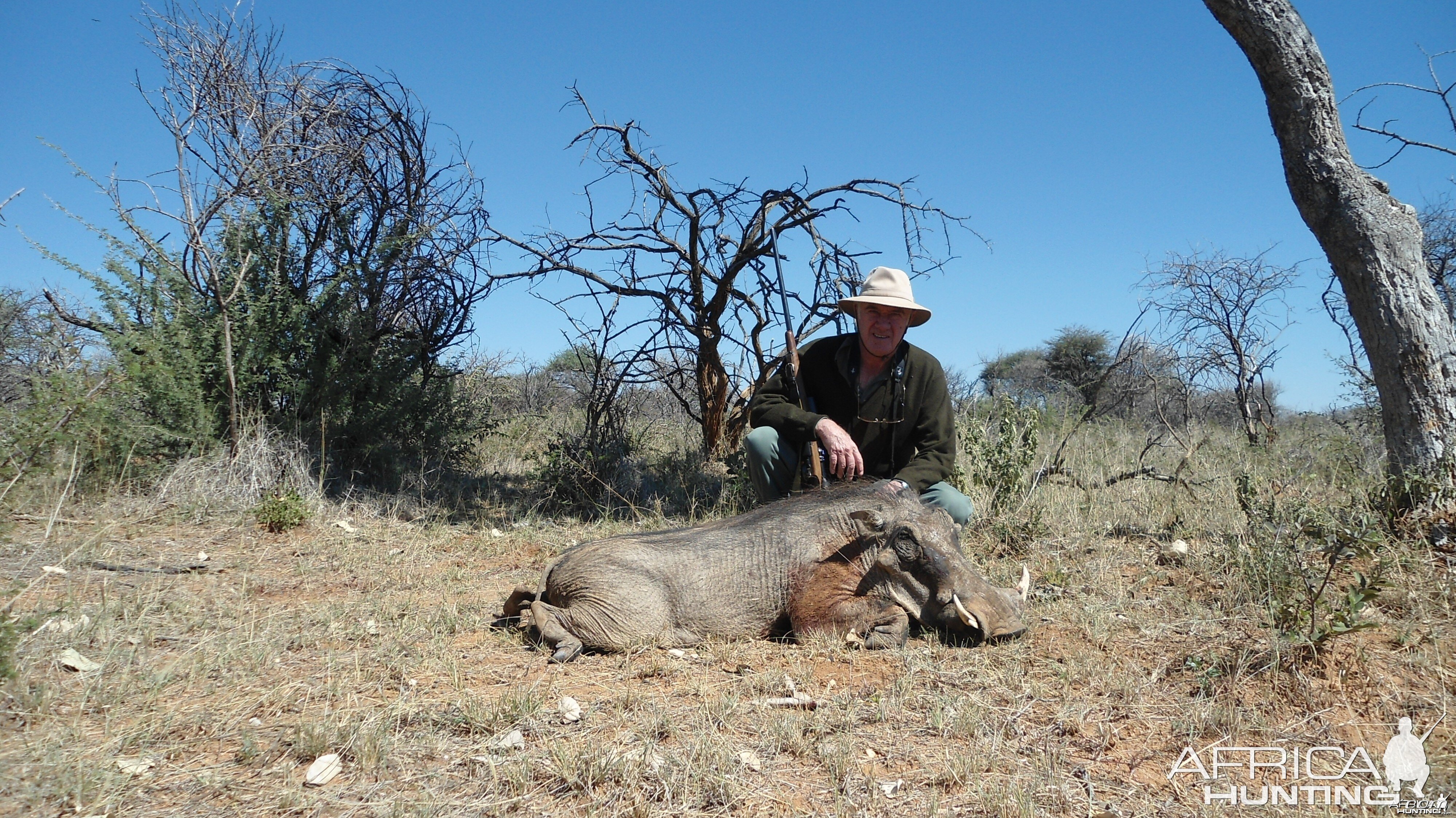 Warthog hunted with Ozondjahe Hunting Safaris in Namibia