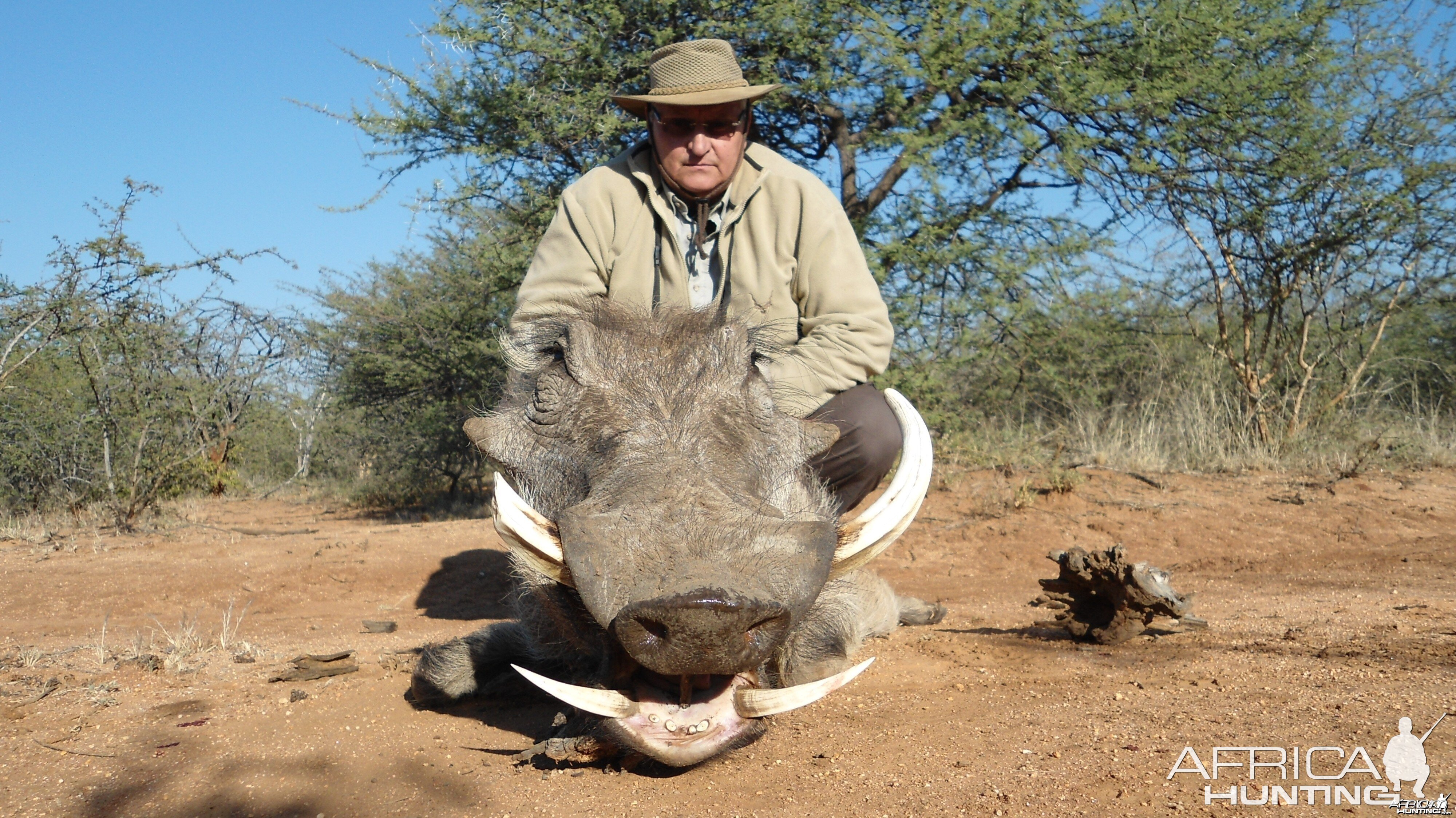 Warthog hunted with Ozondjahe Hunting Safaris in Namibia