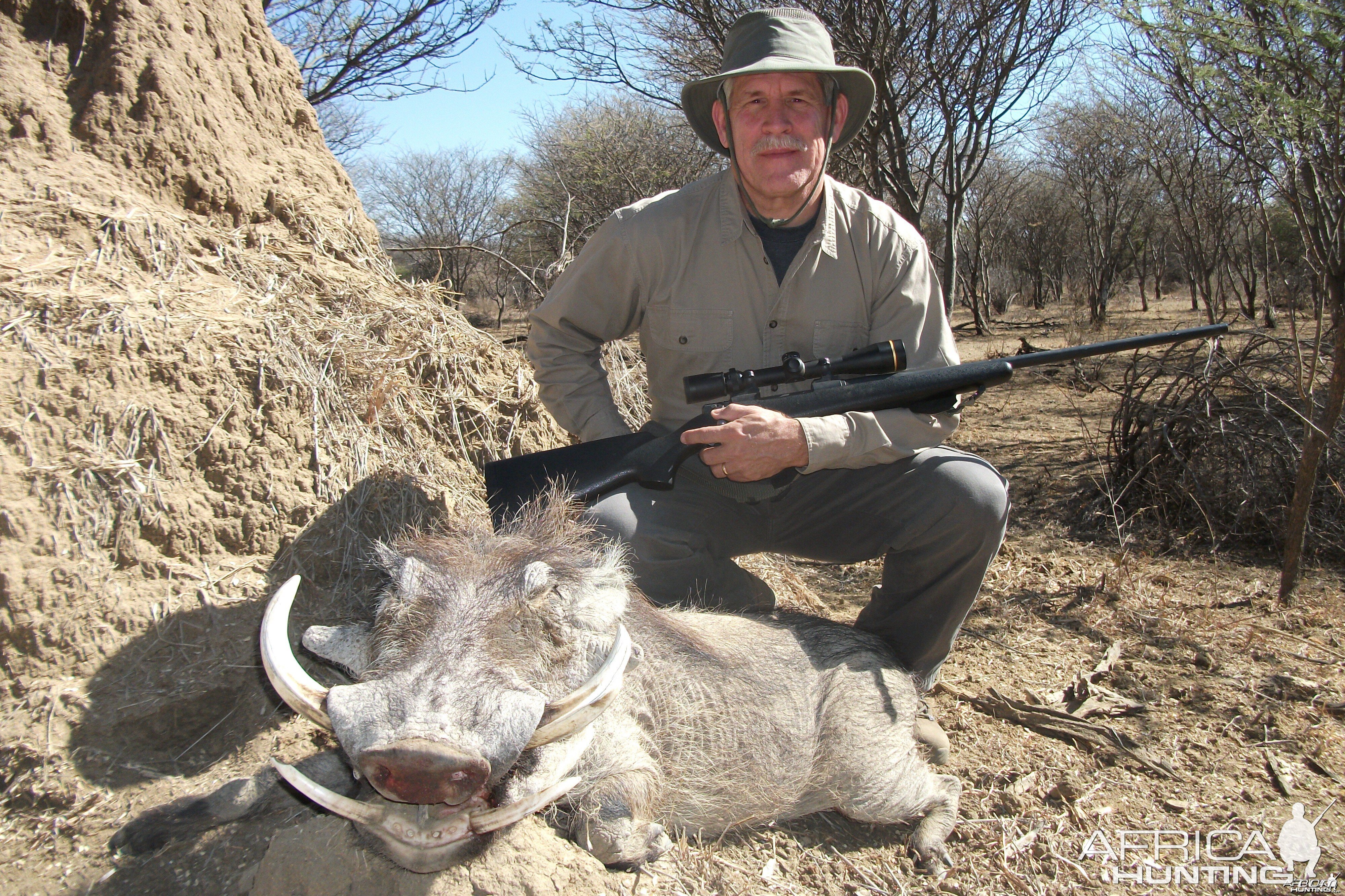 Warthog hunted with Ozondjahe Hunting Safaris in Namibia