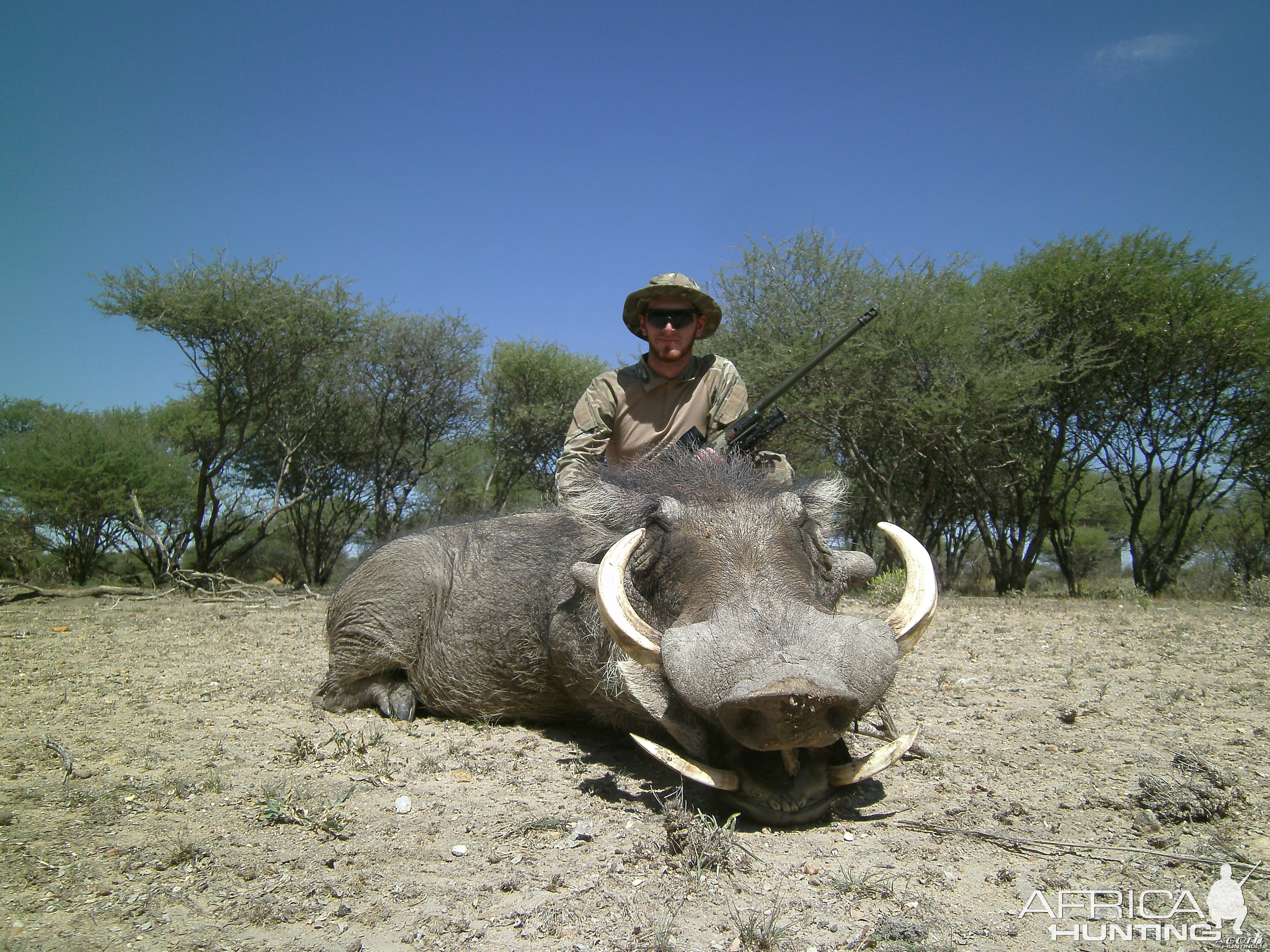 Warthog hunted with Ozondjahe Hunting Safaris in Namibia