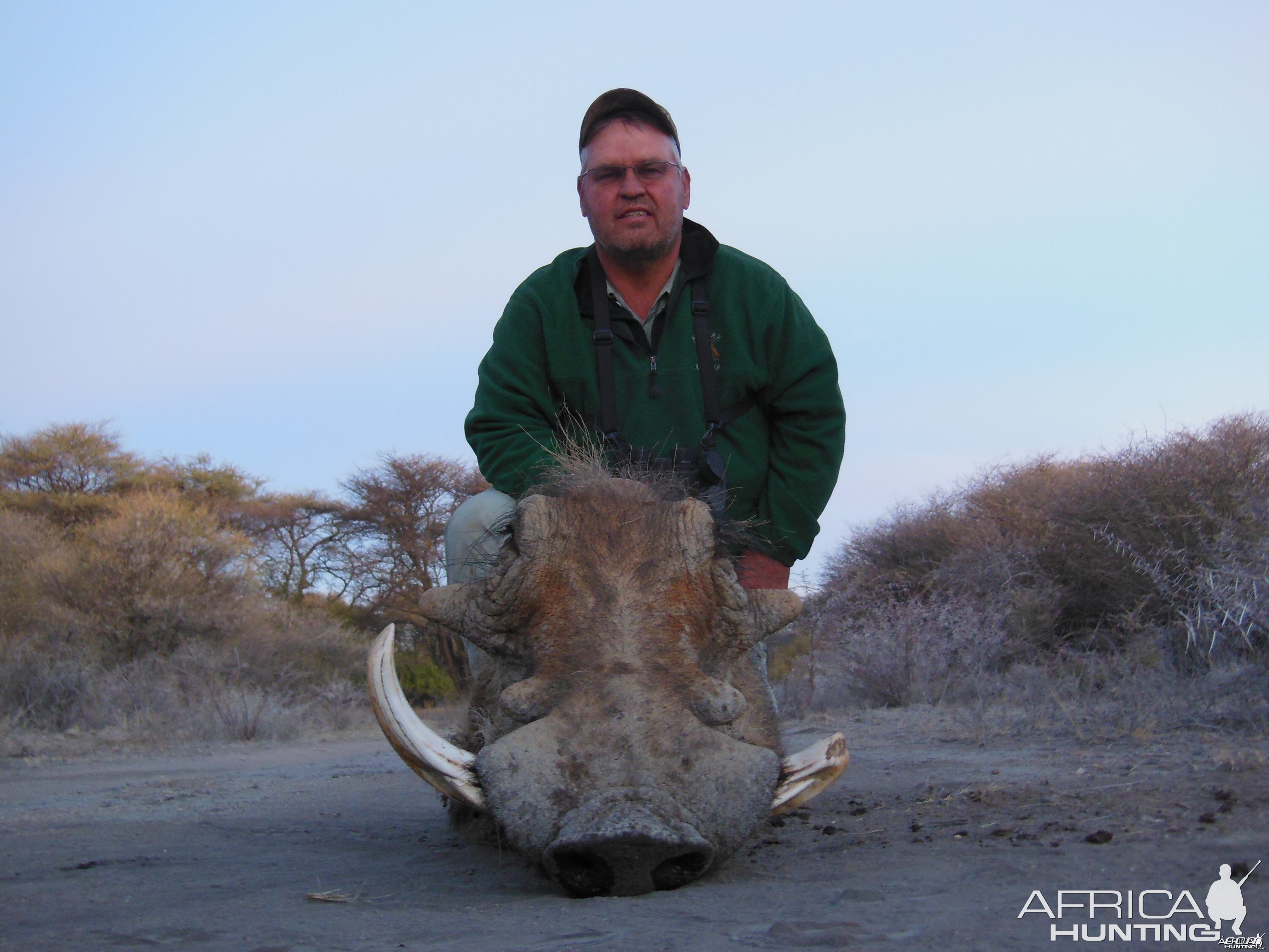 Warthog hunted with Ozondjahe Hunting Safaris in Namibia