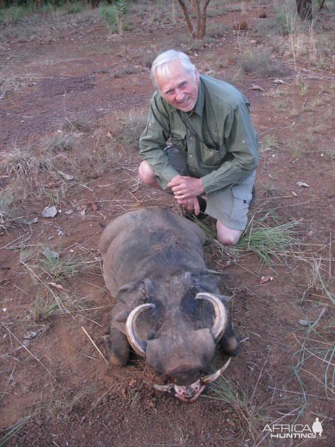 Warthog Hunting Central African Republic C.A.R