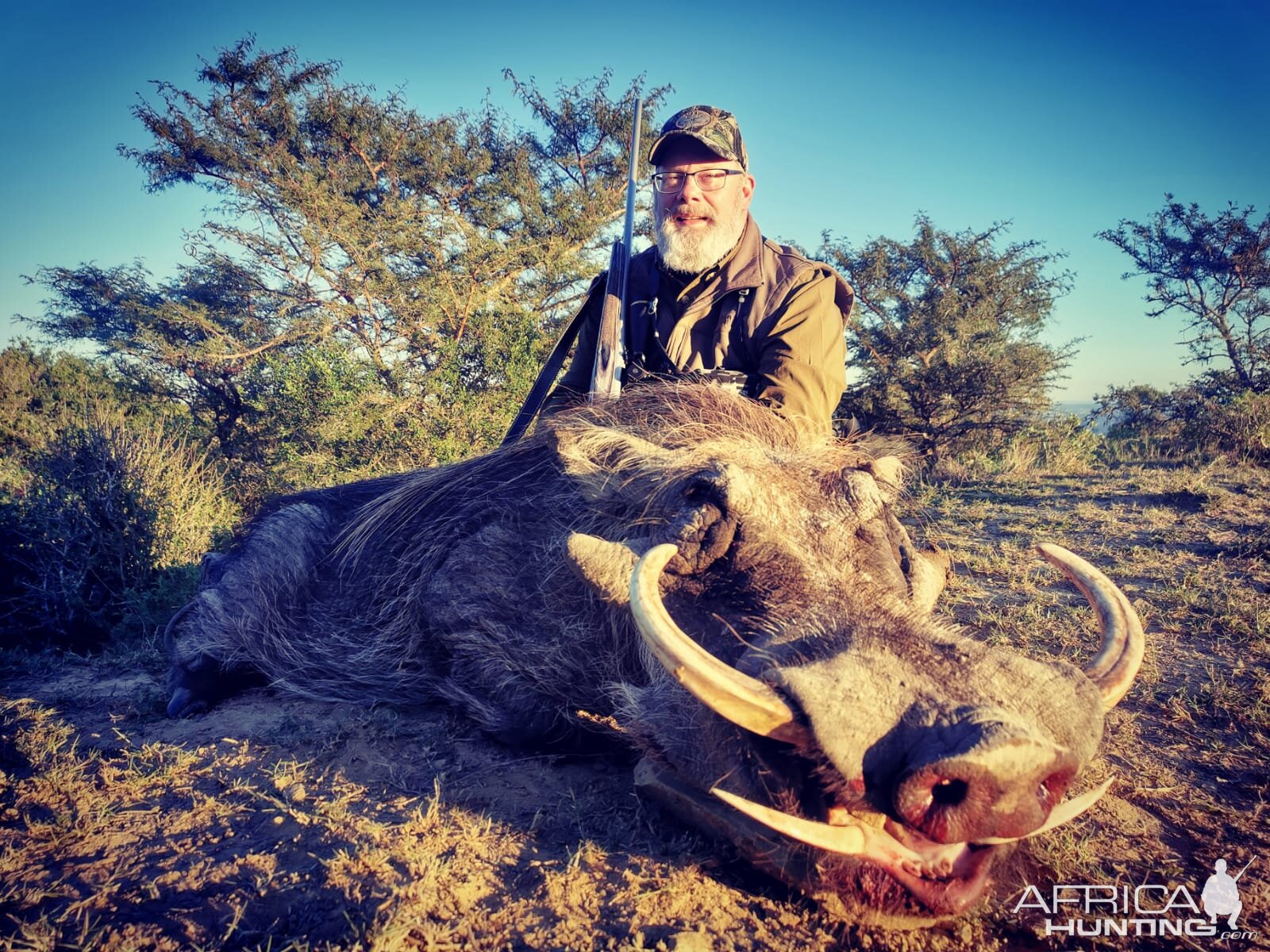 Warthog Hunting Eastern Cape South Africa