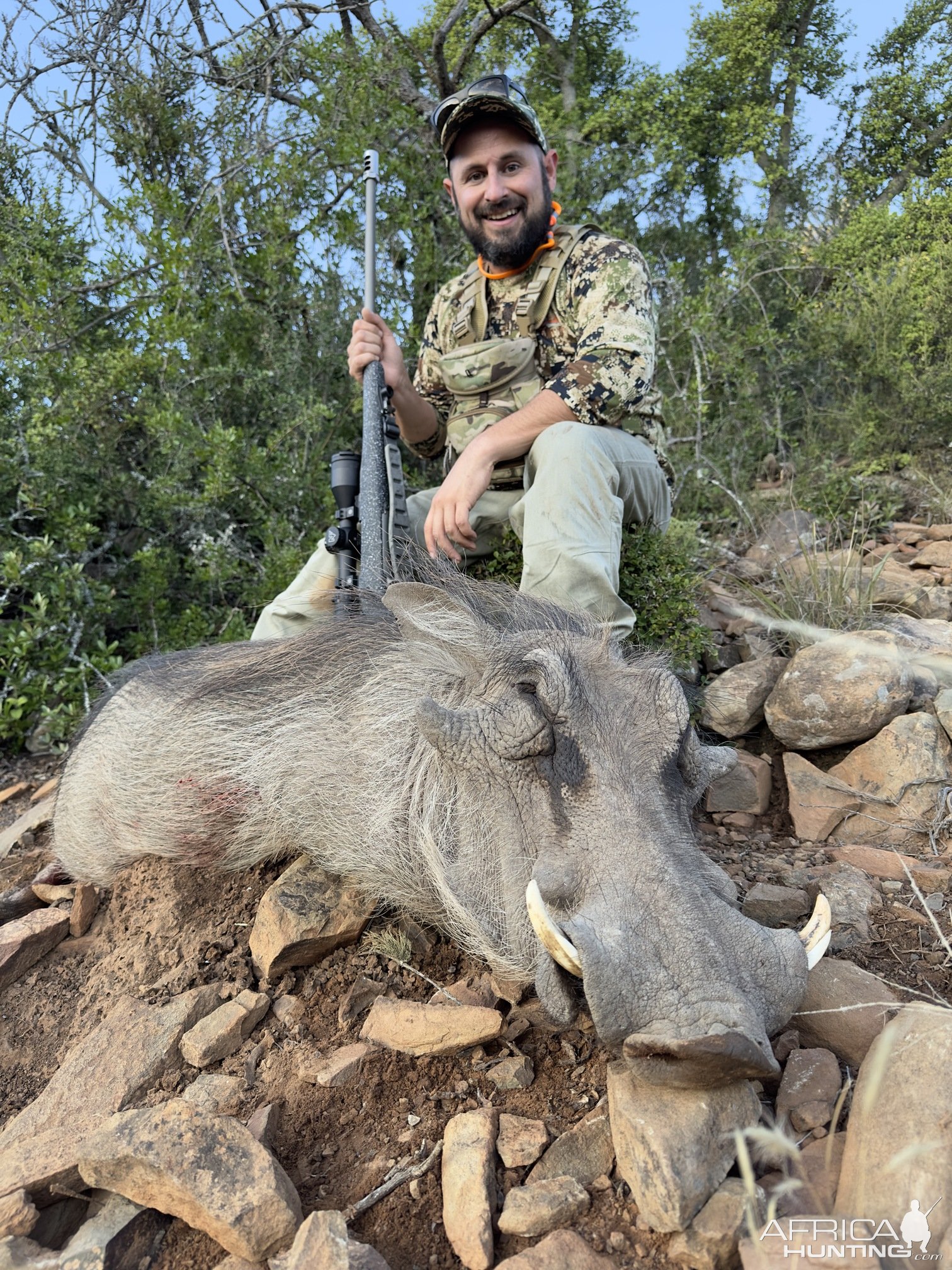 Warthog Hunting Eastern Cape South Africa