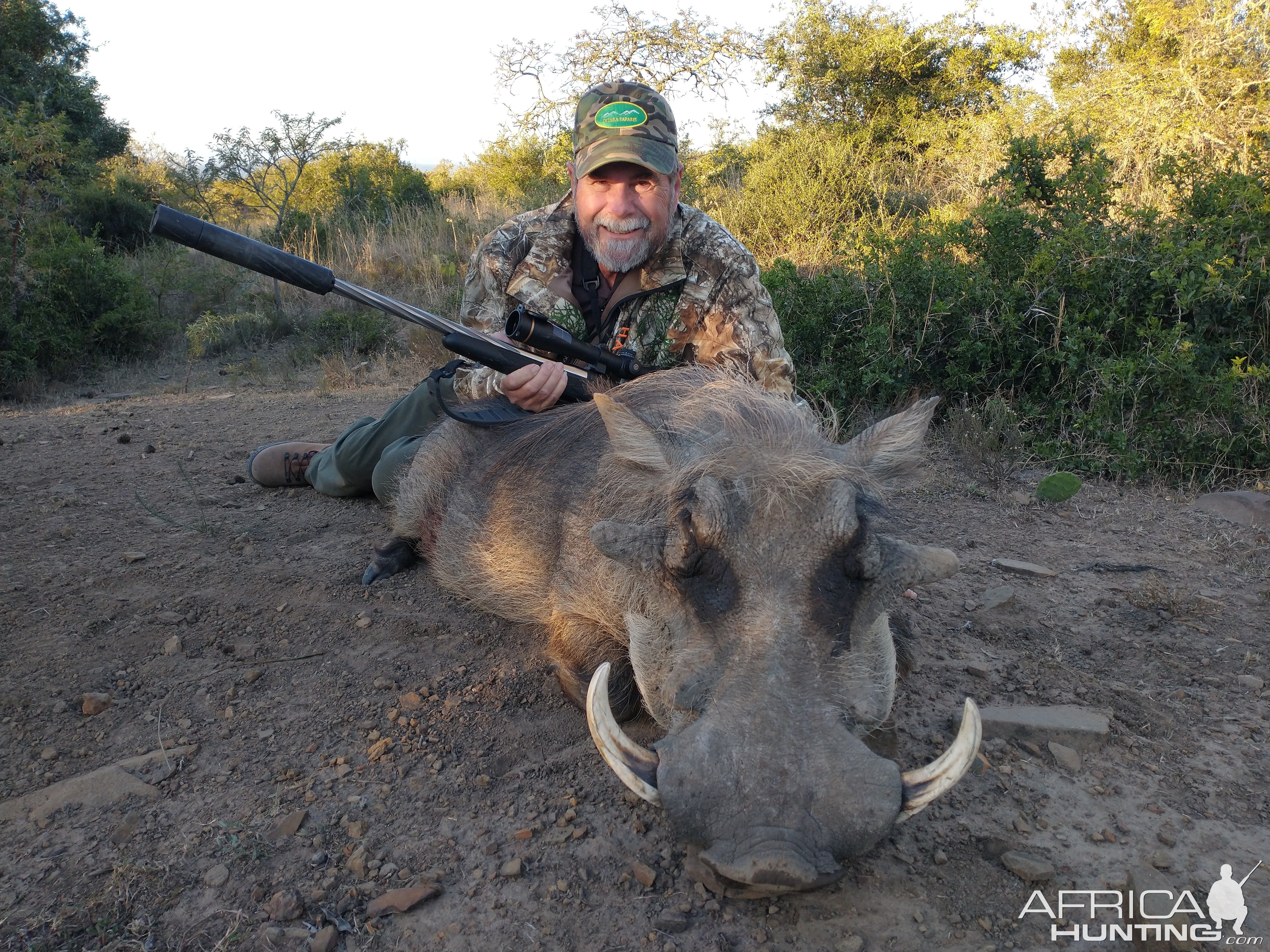 Warthog Hunting Eastern Cape South Africa