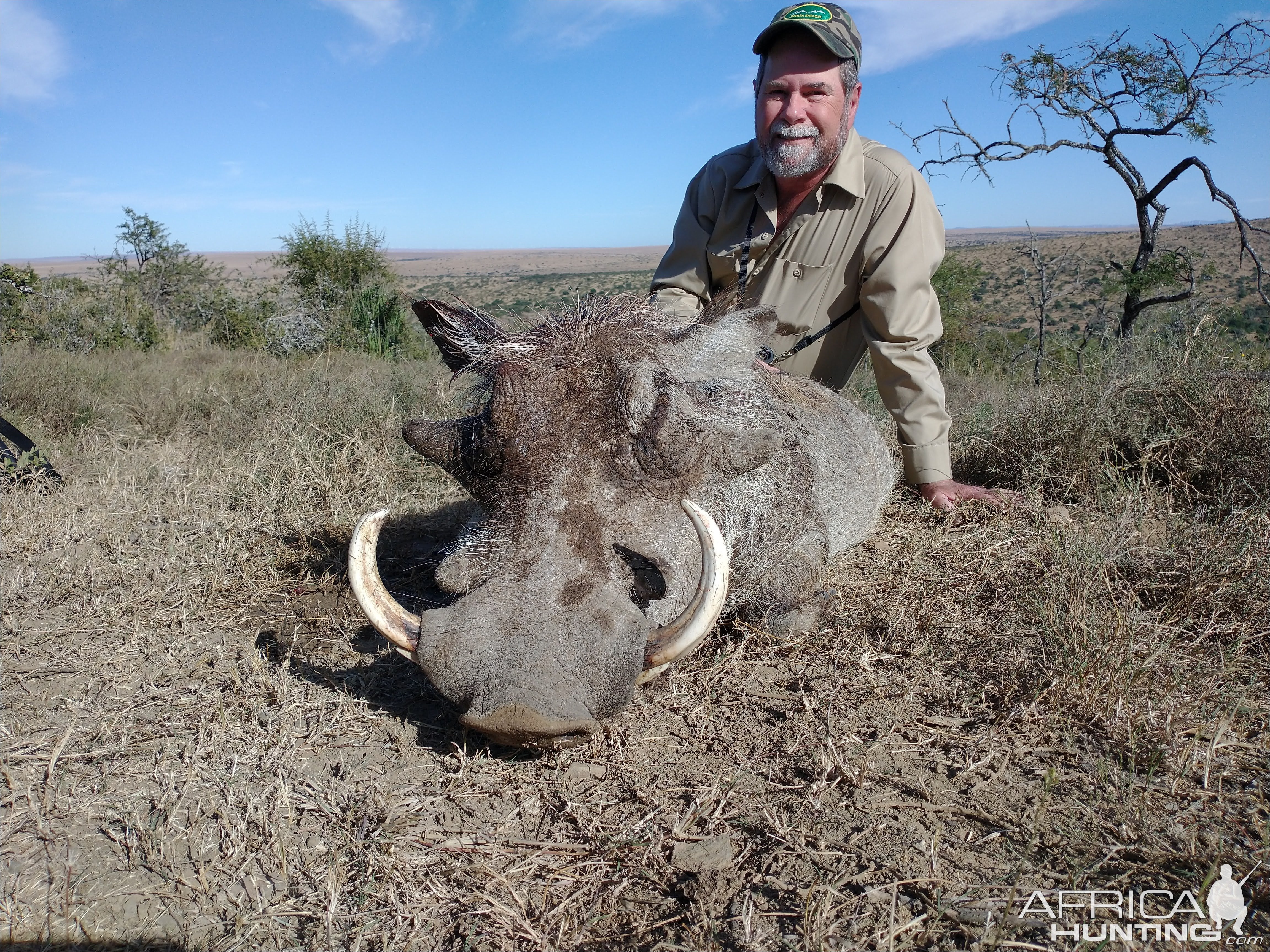 Warthog Hunting Eastern Cape South Africa