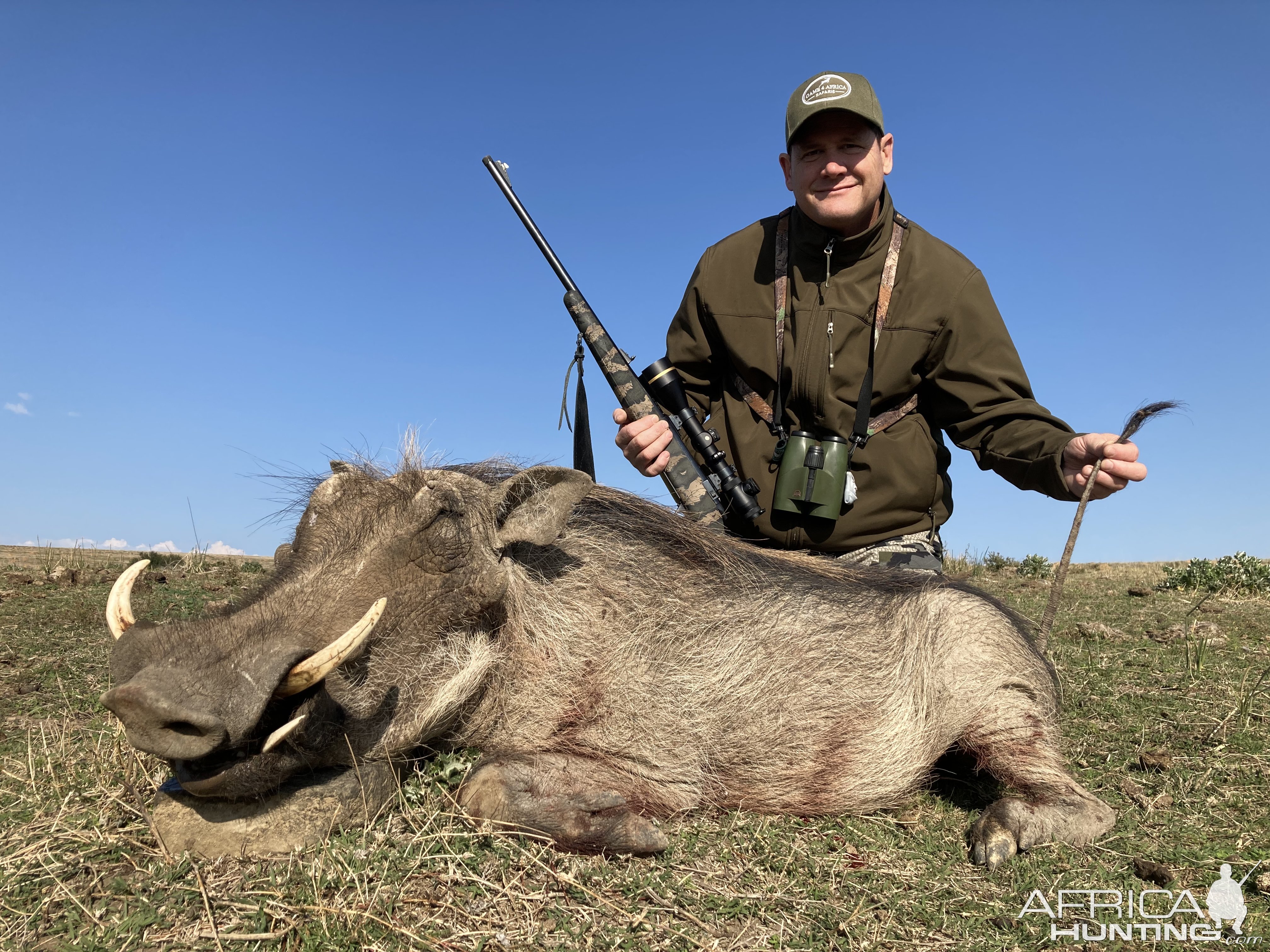 Warthog Hunting Hunting South Africa