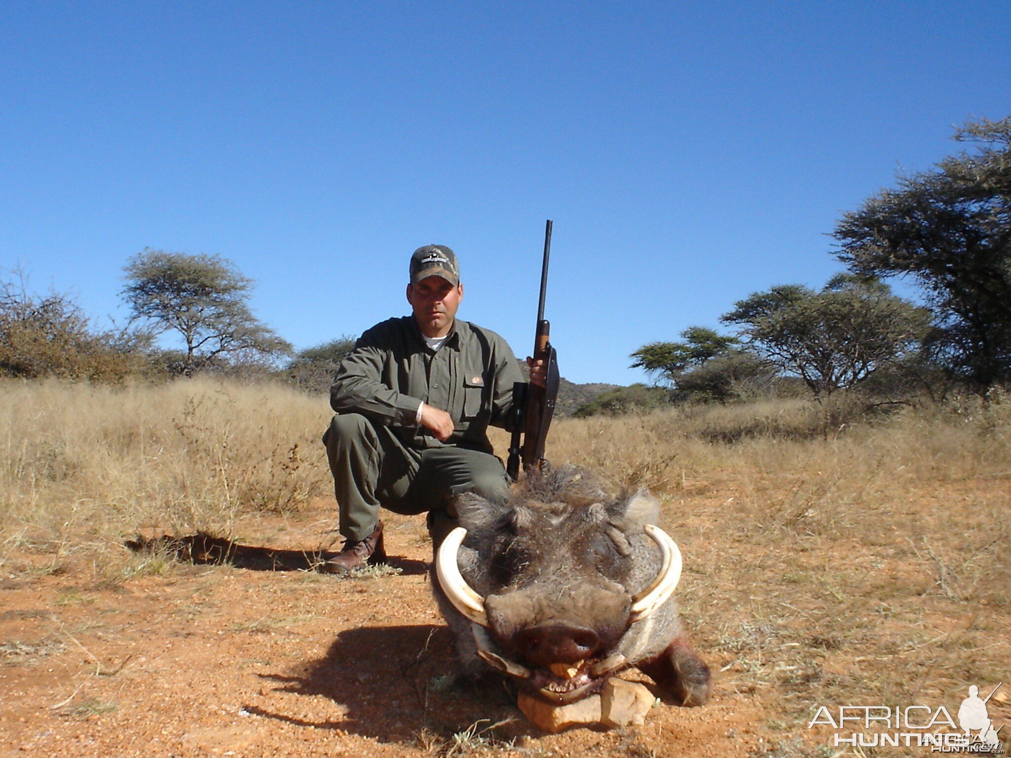 Warthog Hunting in Namibia