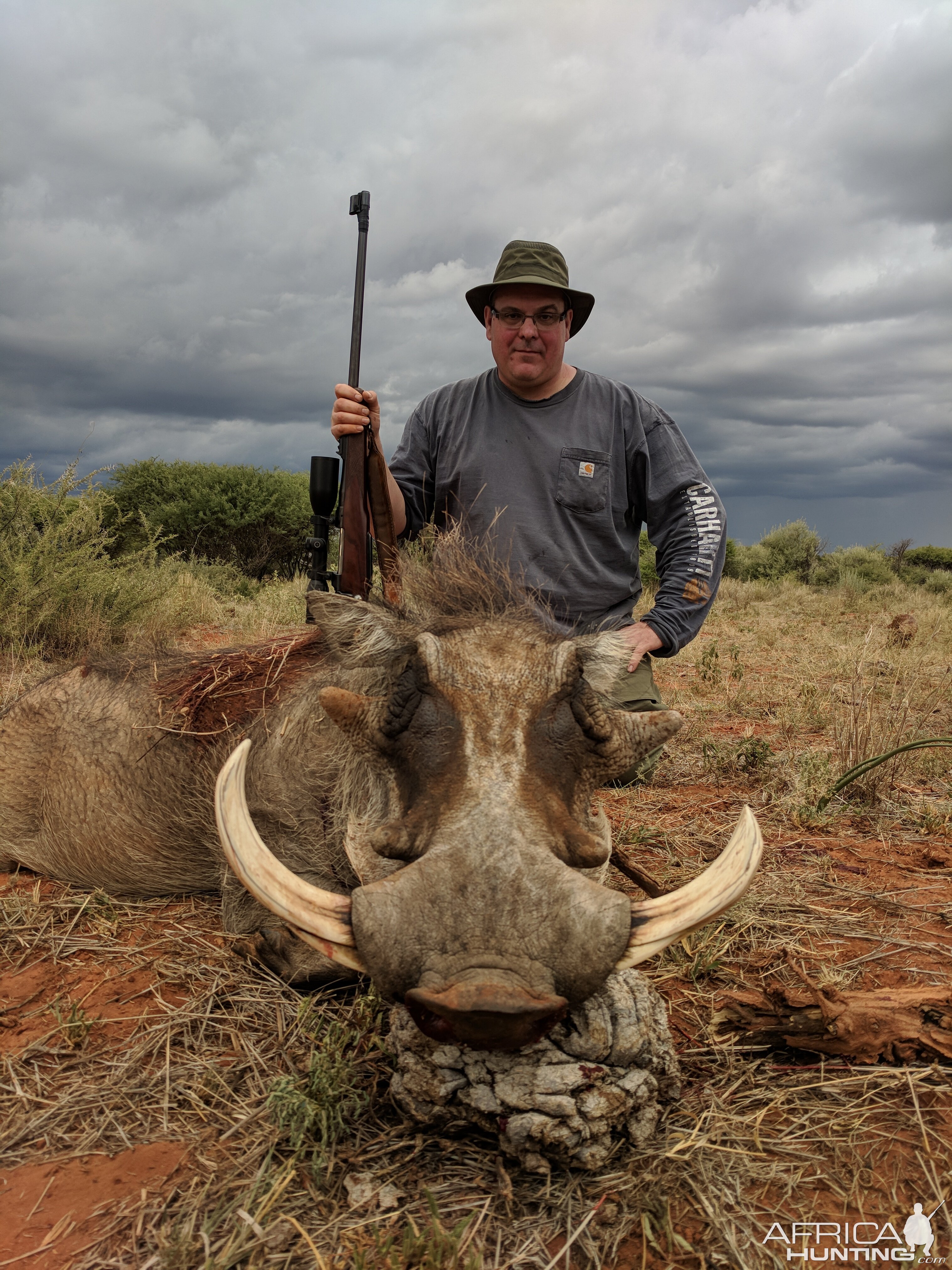 Warthog Hunting in Namibia