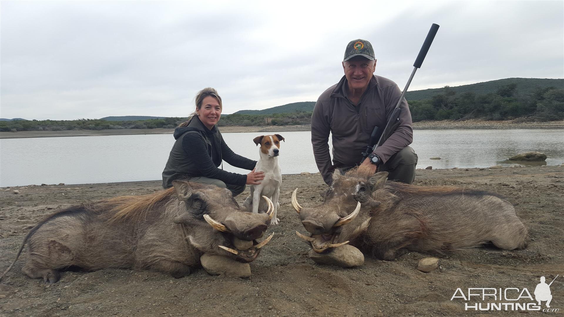 Warthog Hunting in South Africa