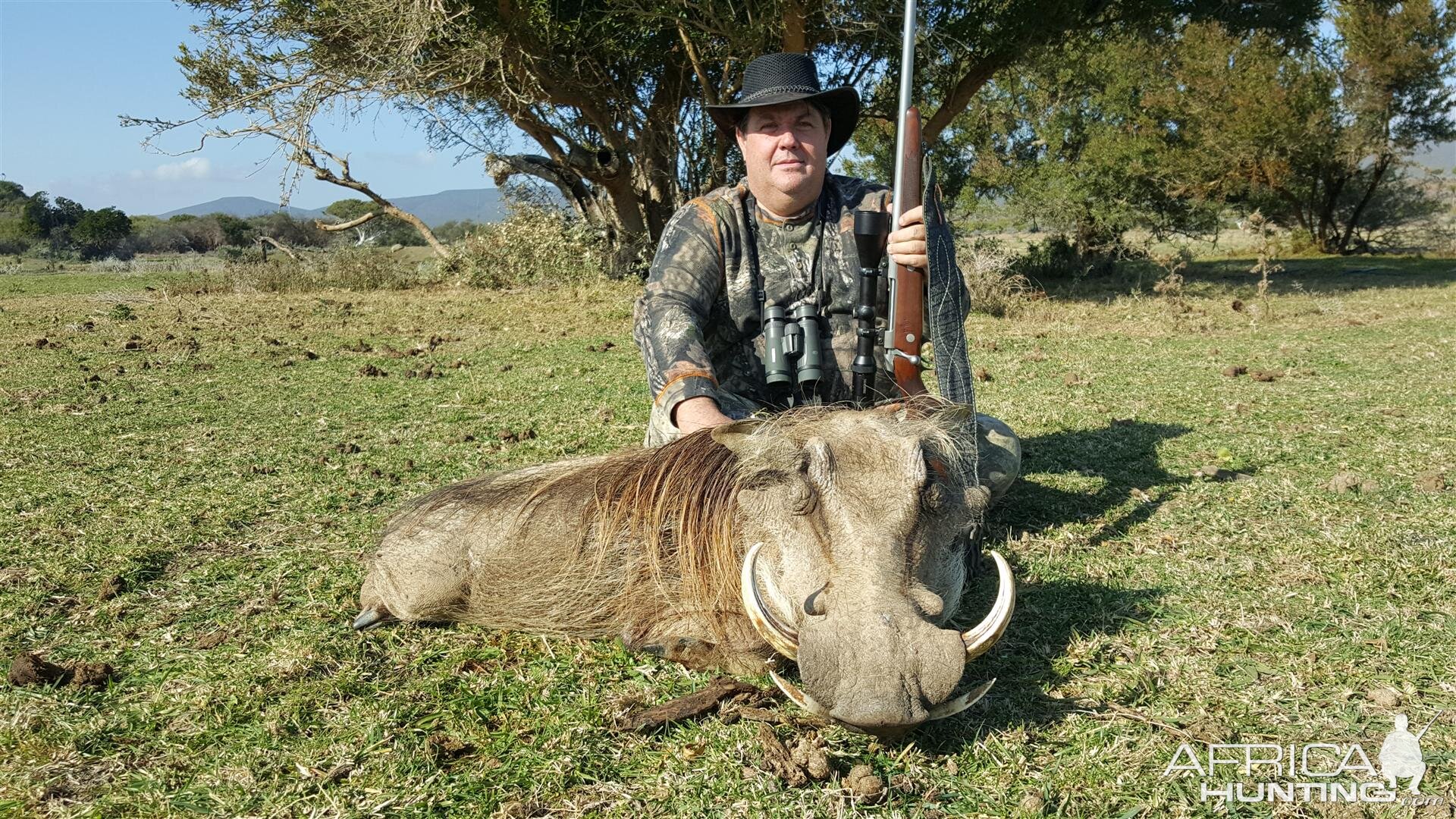 Warthog Hunting in South Africa