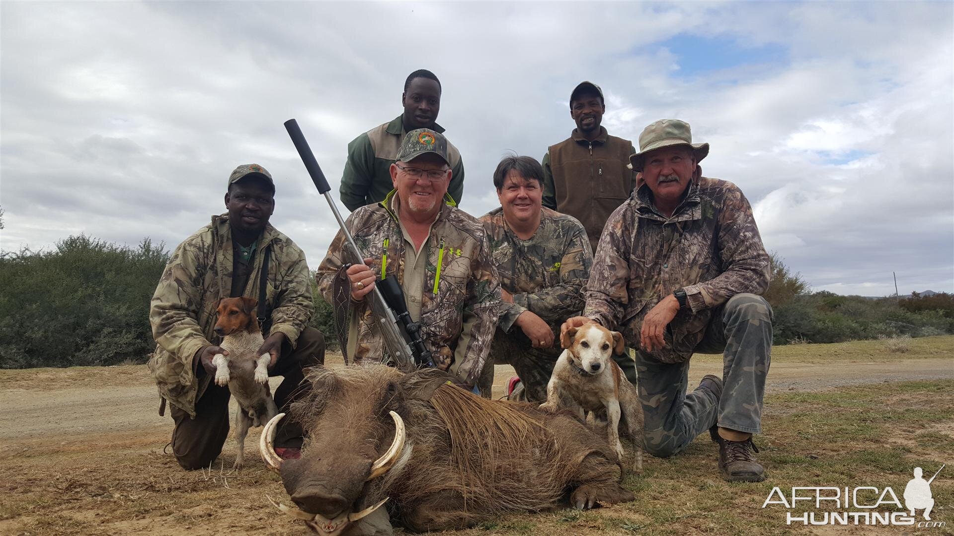 Warthog  Hunting in South Africa