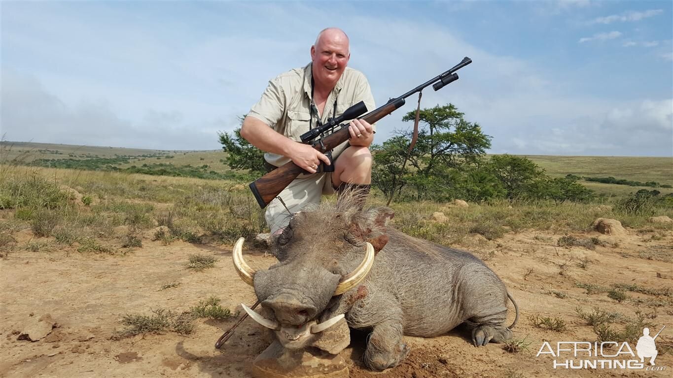 Warthog Hunting in South Africa