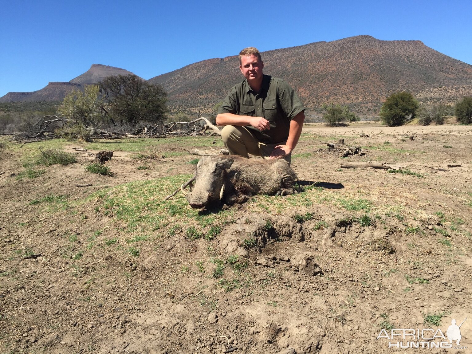 Warthog Hunting in South Africa