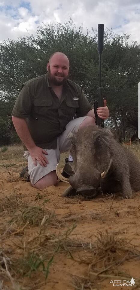 Warthog Hunting in South Africa