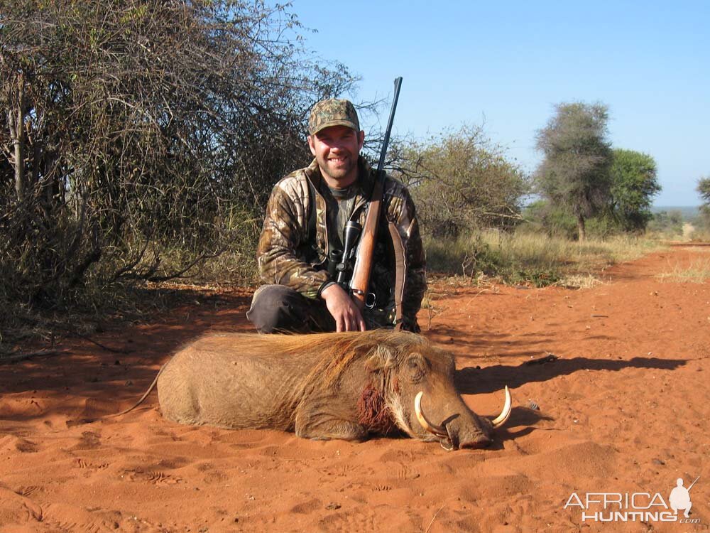 Warthog Hunting in South Africa