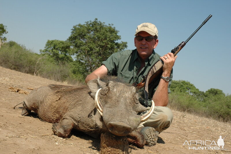 Warthog Hunting in Zimbabwe