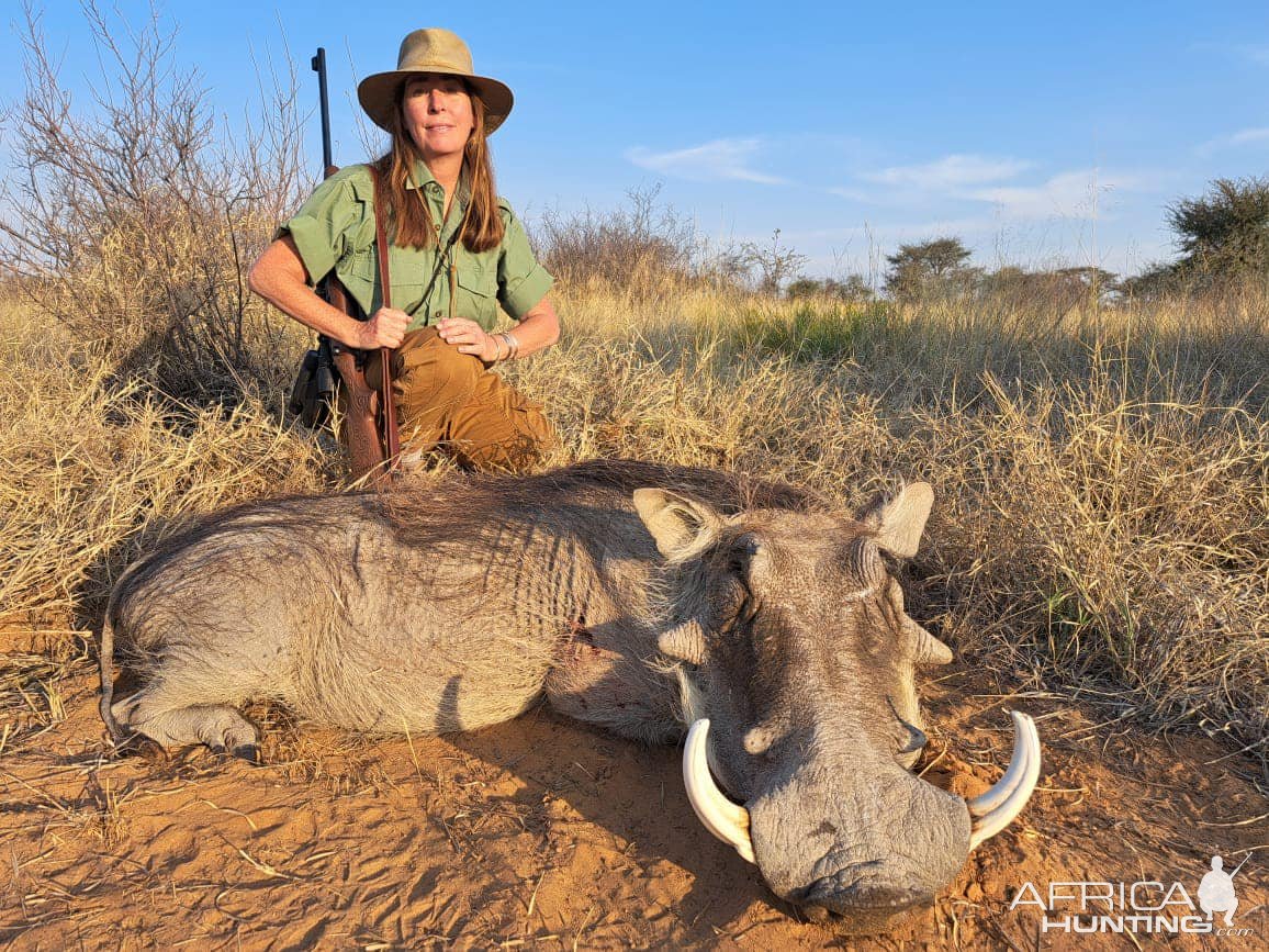 Warthog Hunting Kalahari South Africa