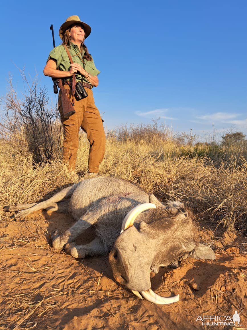 Warthog Hunting Kalahari South Africa