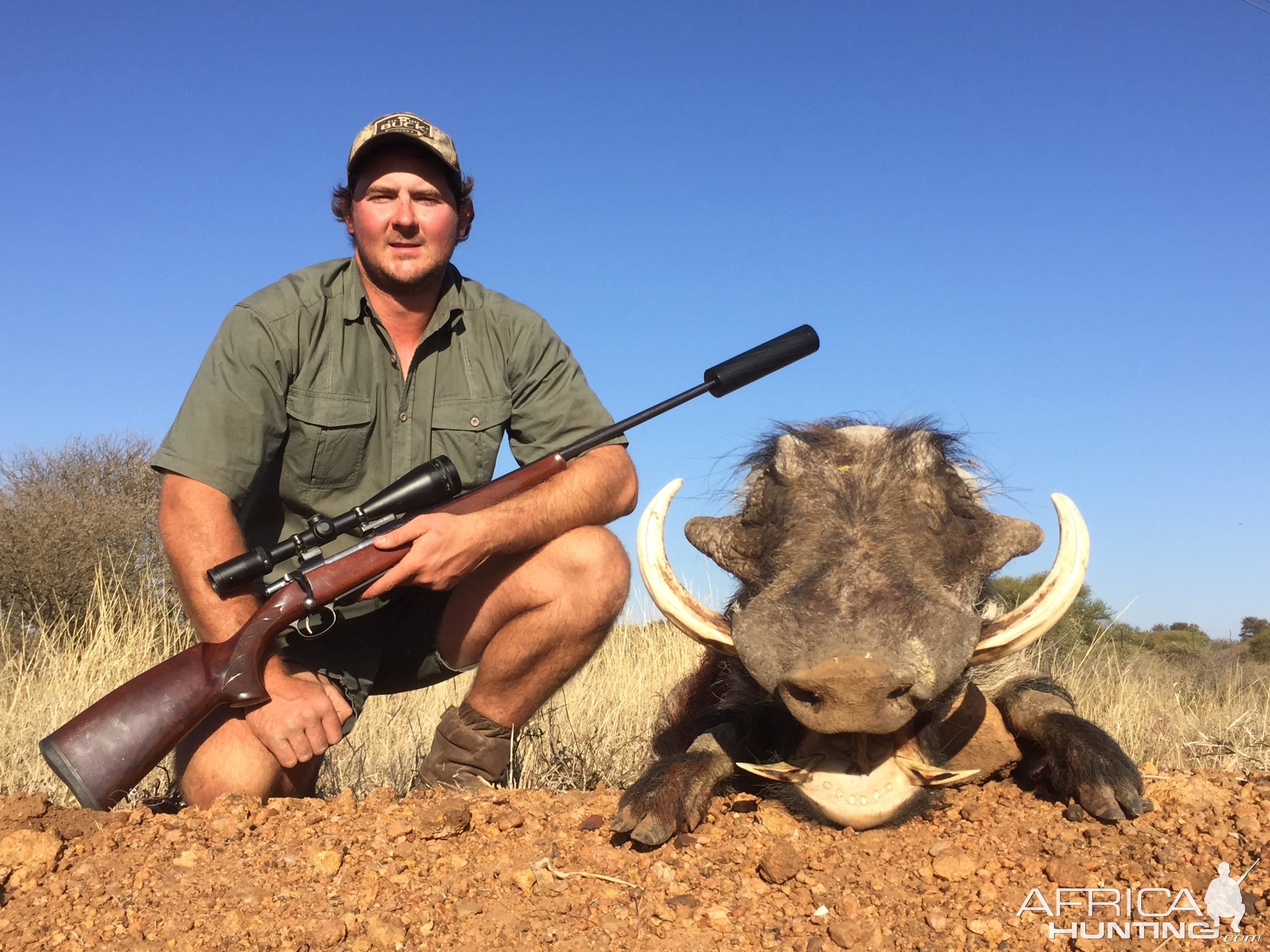 Warthog Hunting Limpopo South Africa