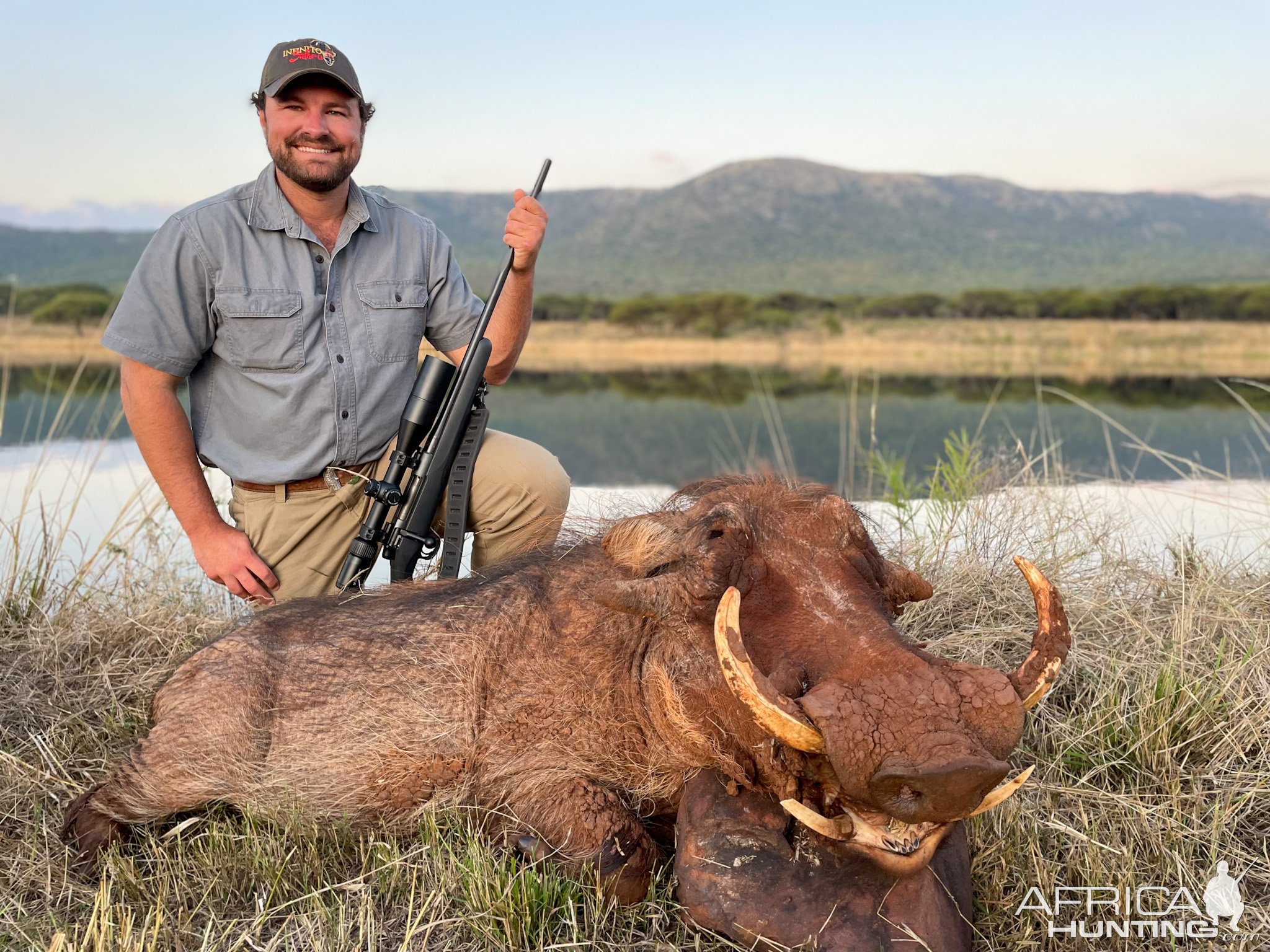 Warthog Hunting Limpopo South Africa