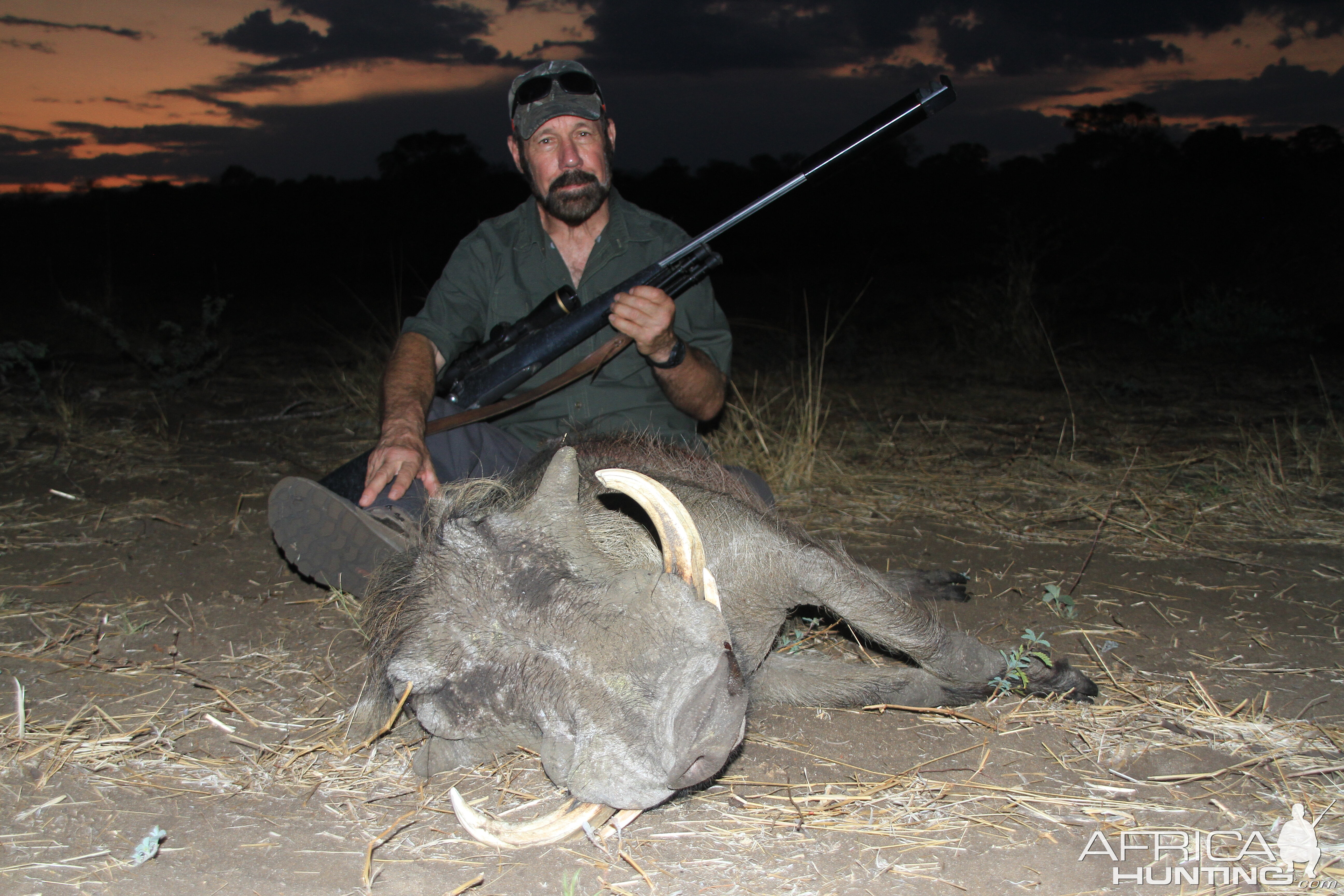 Warthog Hunting Namibia