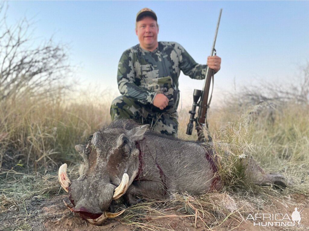 Warthog Hunting Namibia