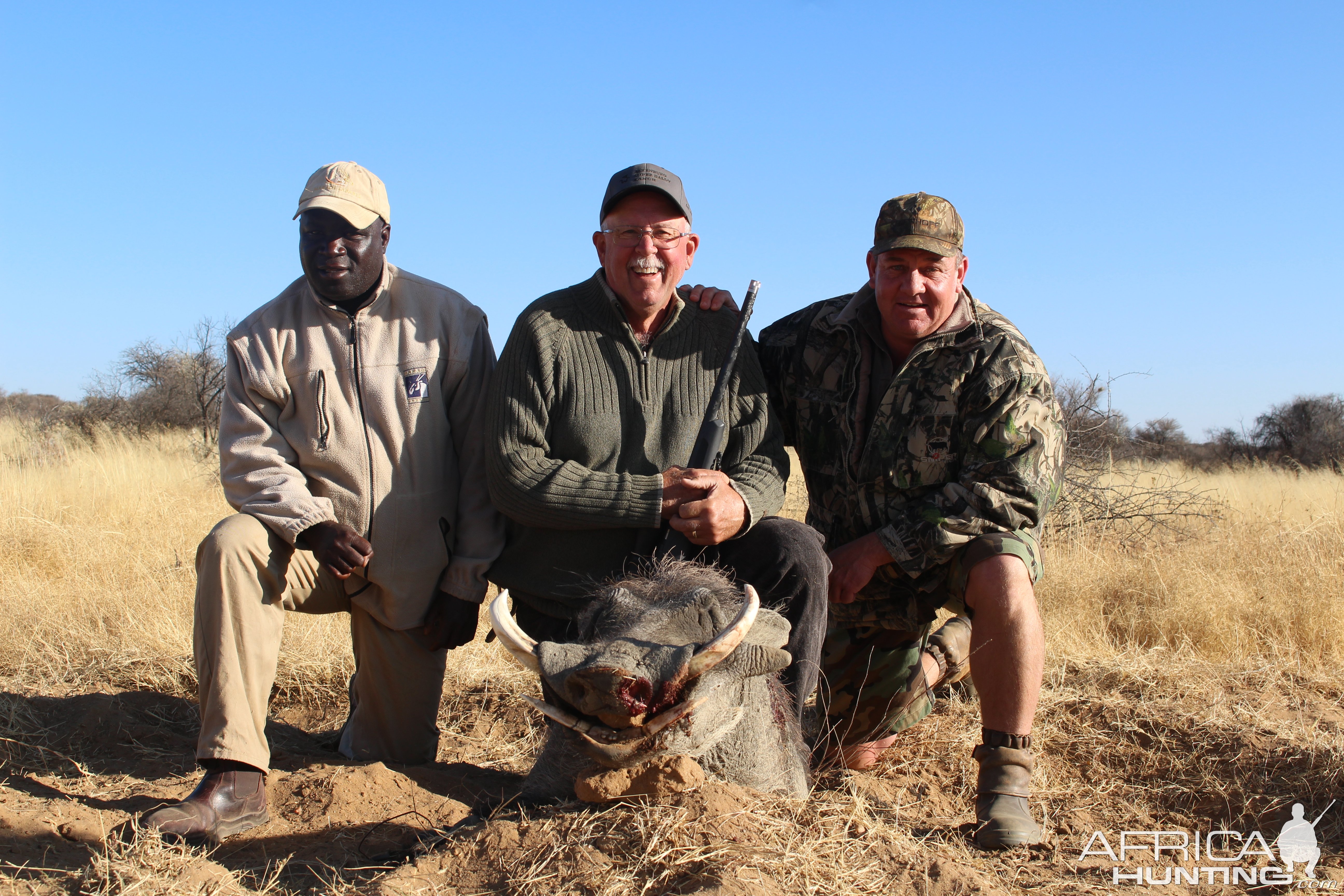 Warthog Hunting Namibia