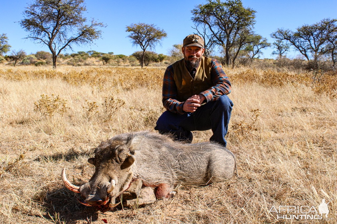 Warthog Hunting Namibia