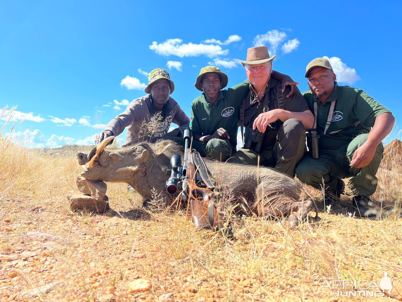 Warthog Hunting Namibia