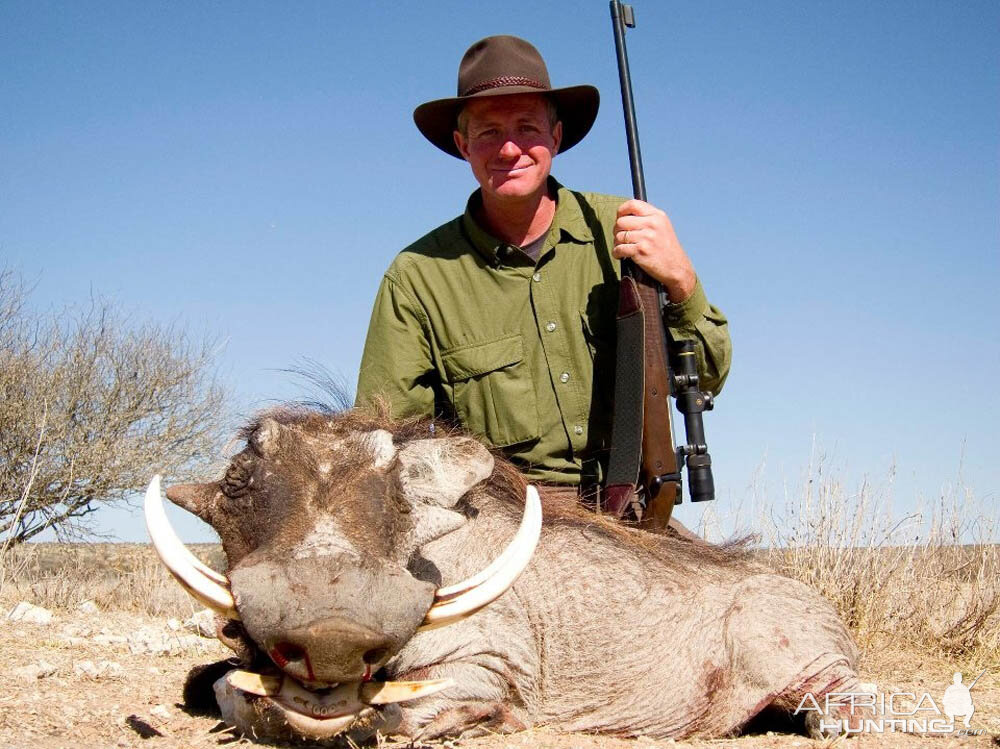 Warthog Hunting Namibia