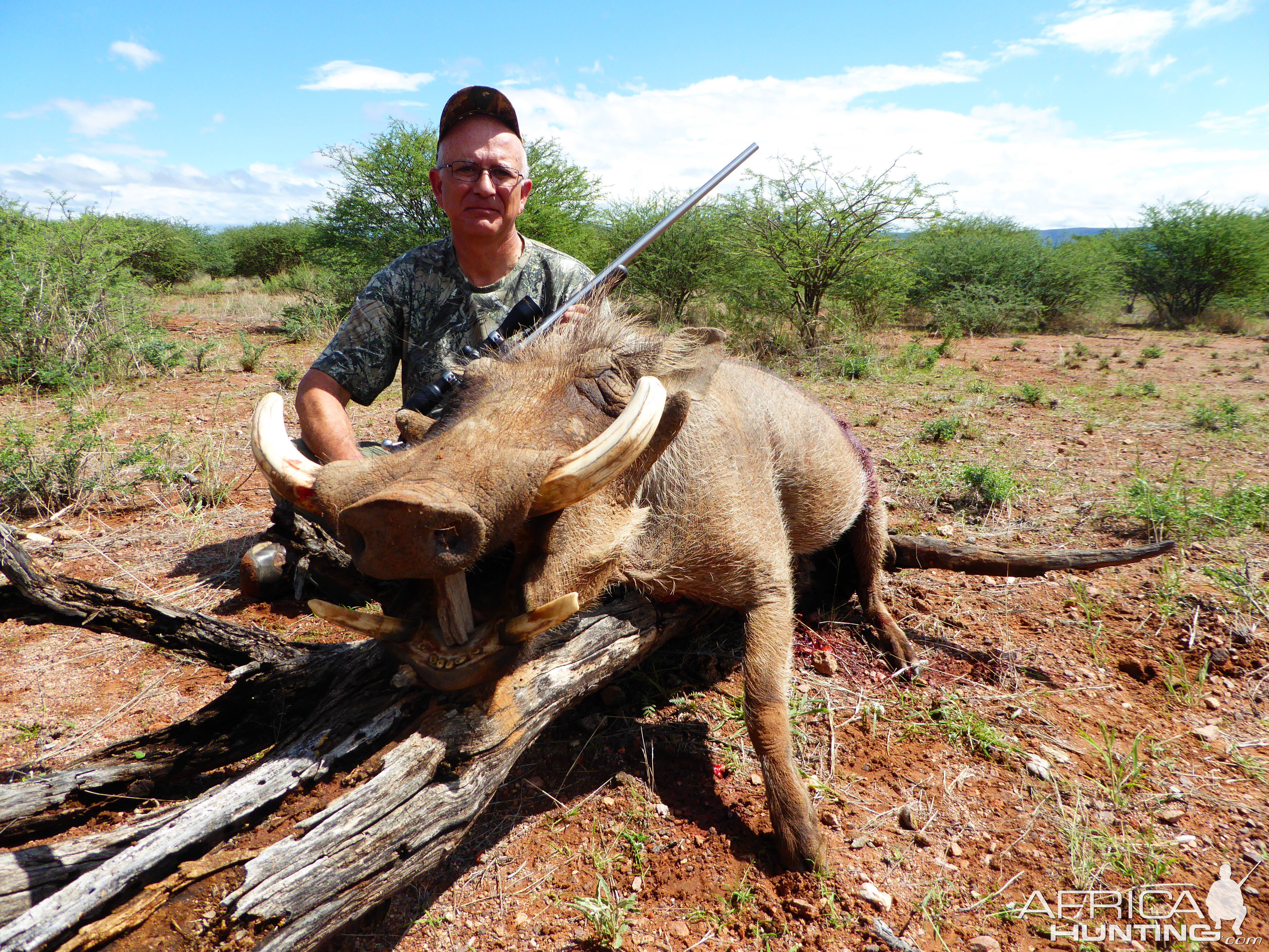 Warthog Hunting Namibia