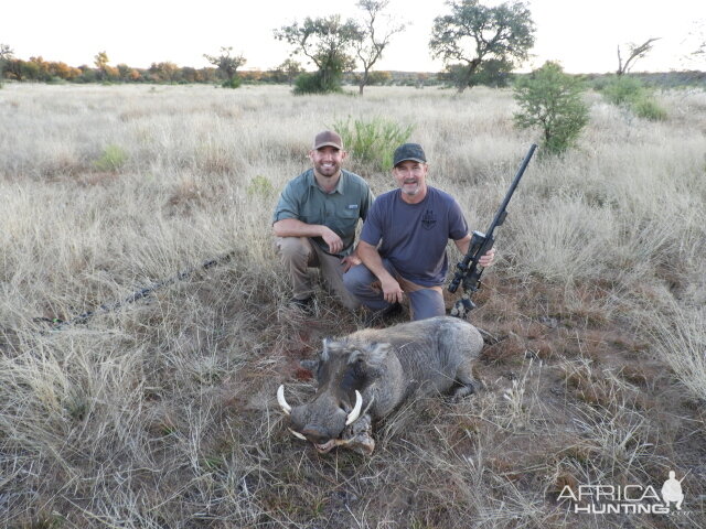 Warthog Hunting Namibia