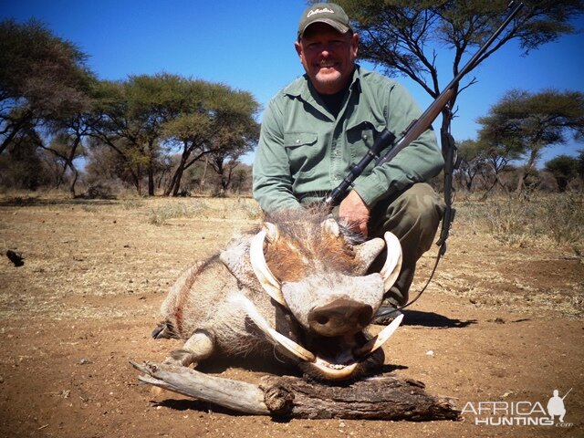 Warthog Hunting Namibia