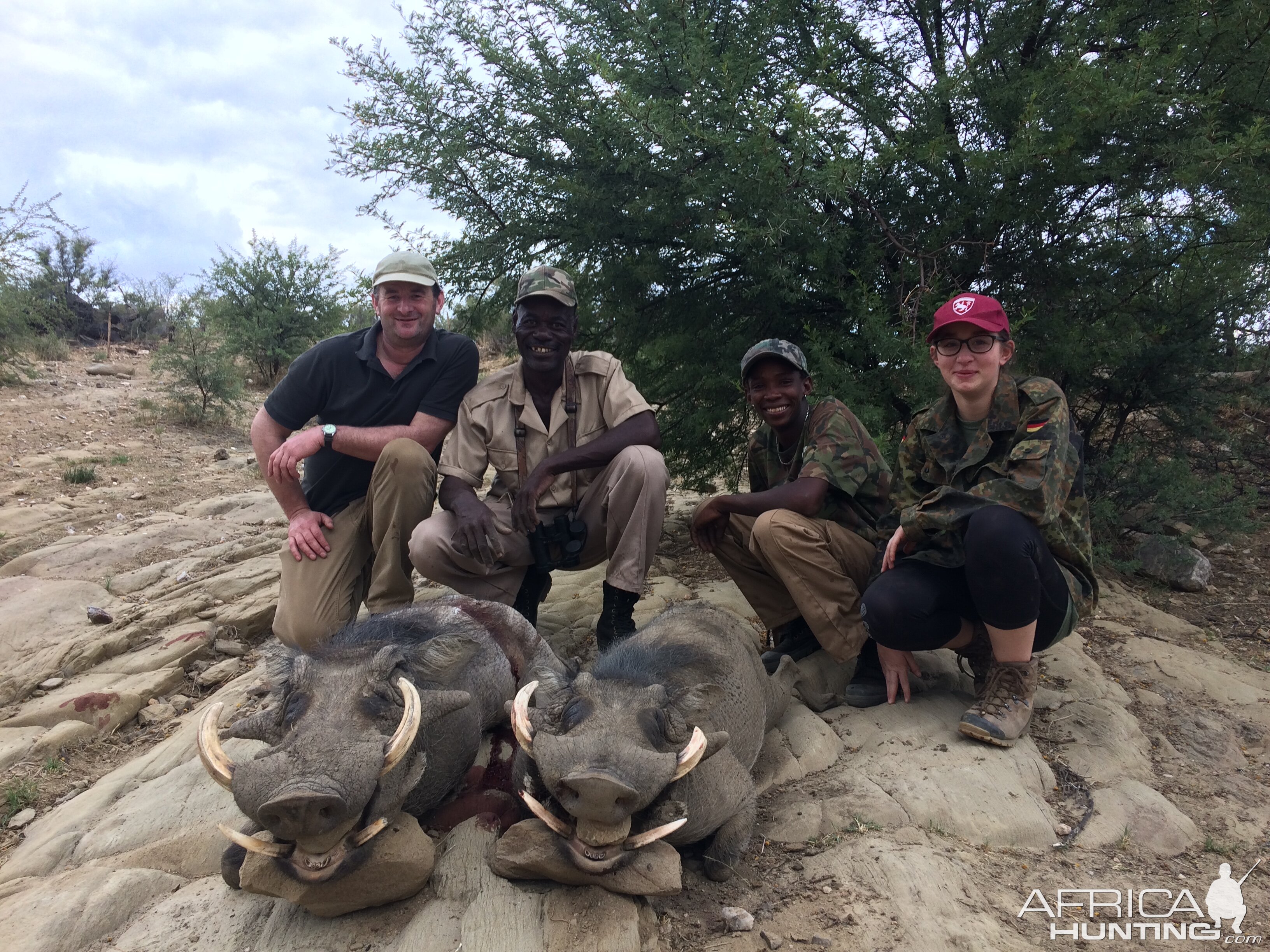 Warthog Hunting Namibia