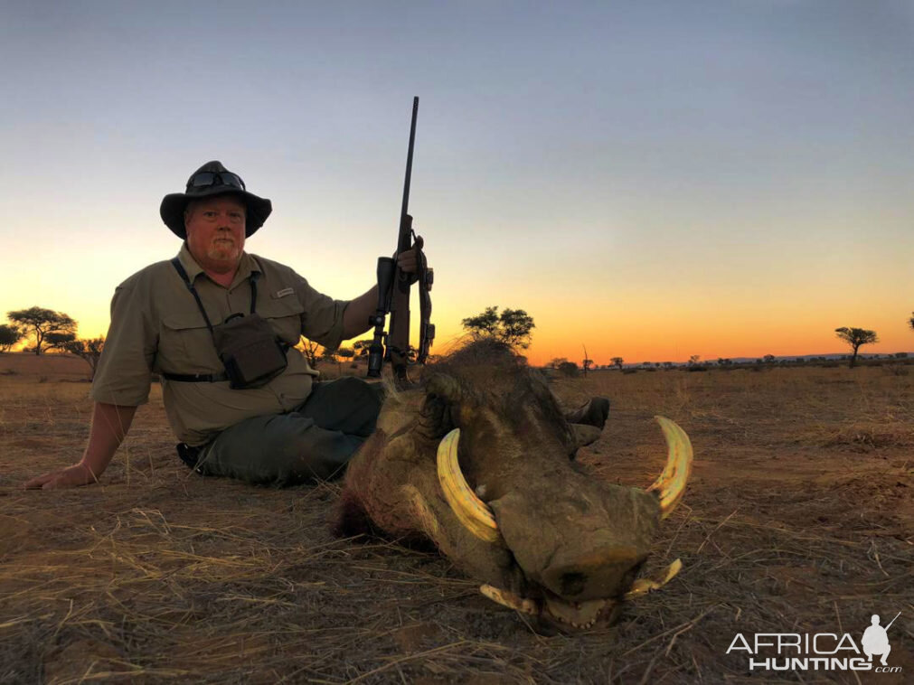 Warthog Hunting Namibia