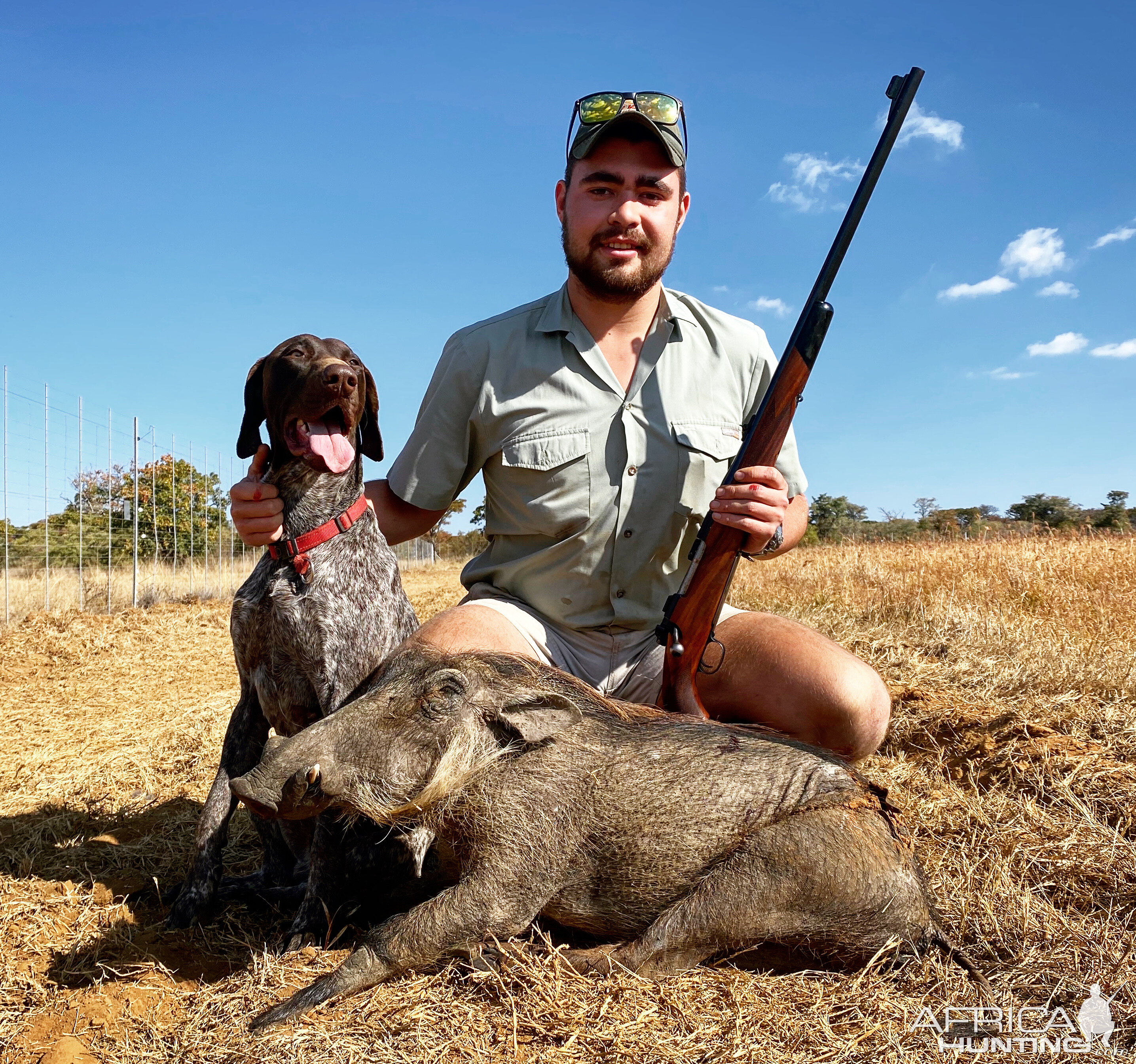 Warthog Hunting South Africa