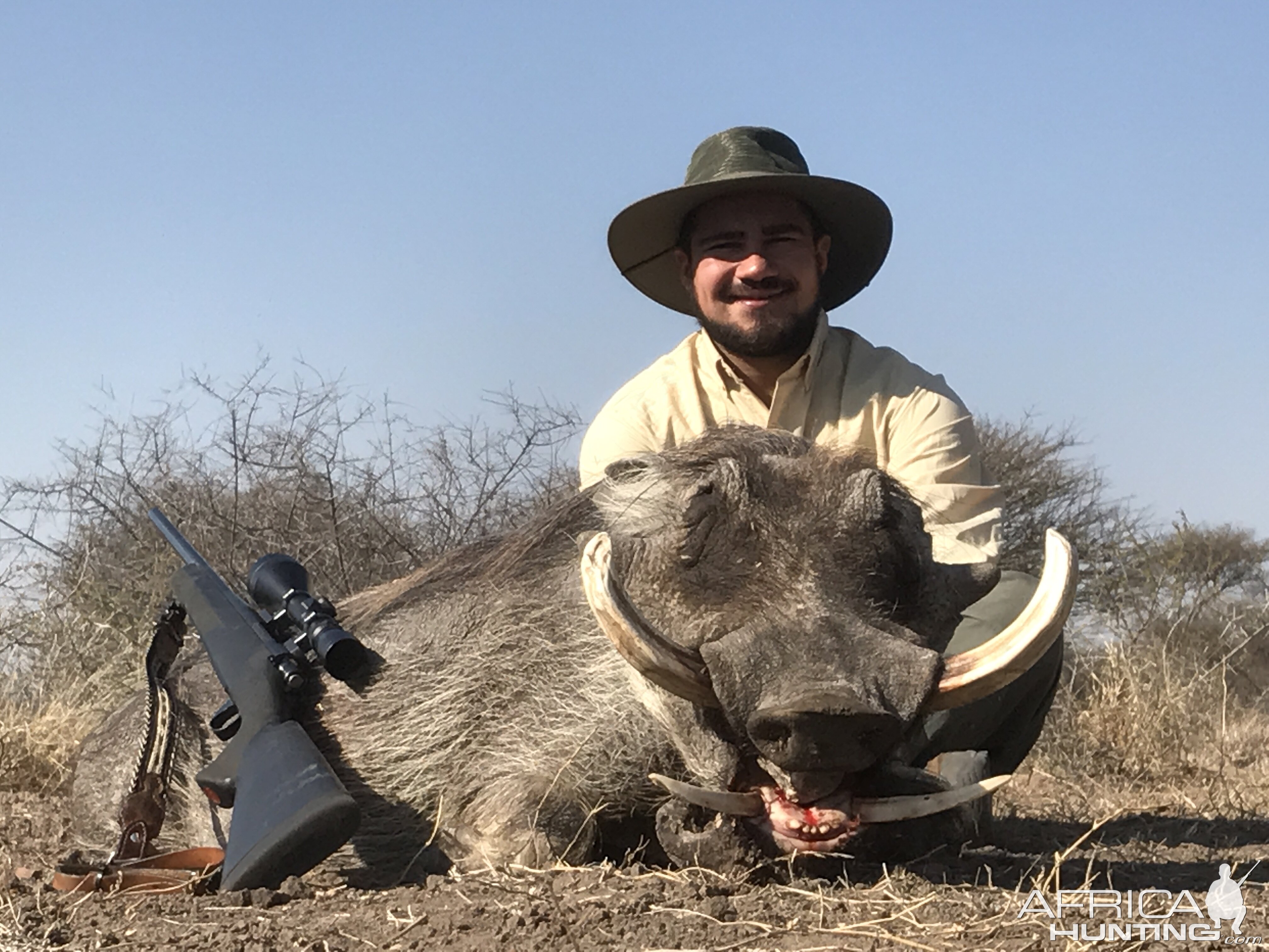 Warthog Hunting South Africa