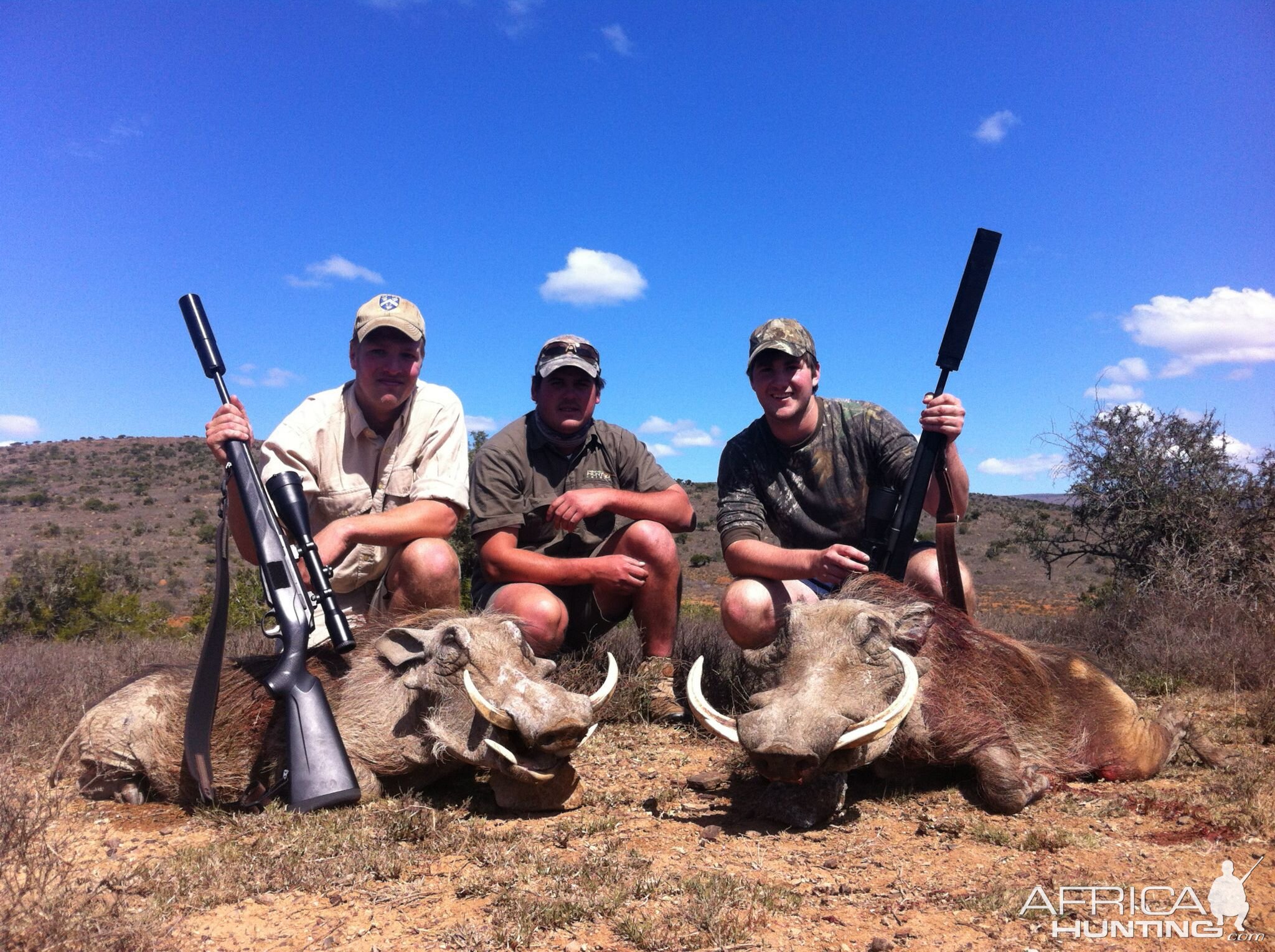 Warthog Hunting South Africa