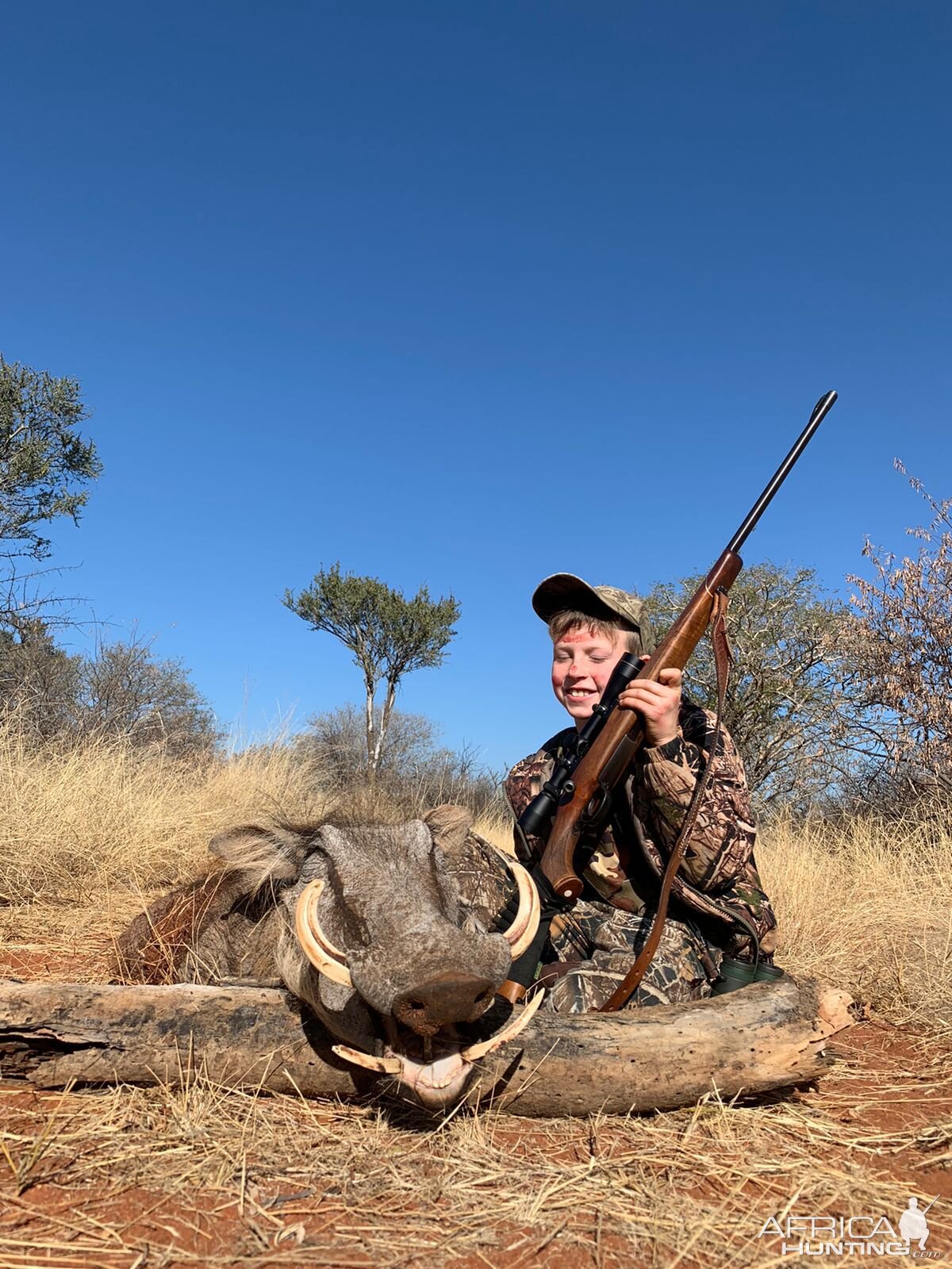 Warthog Hunting South Africa