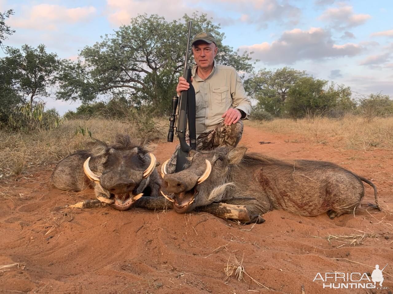 Warthog Hunting South Africa