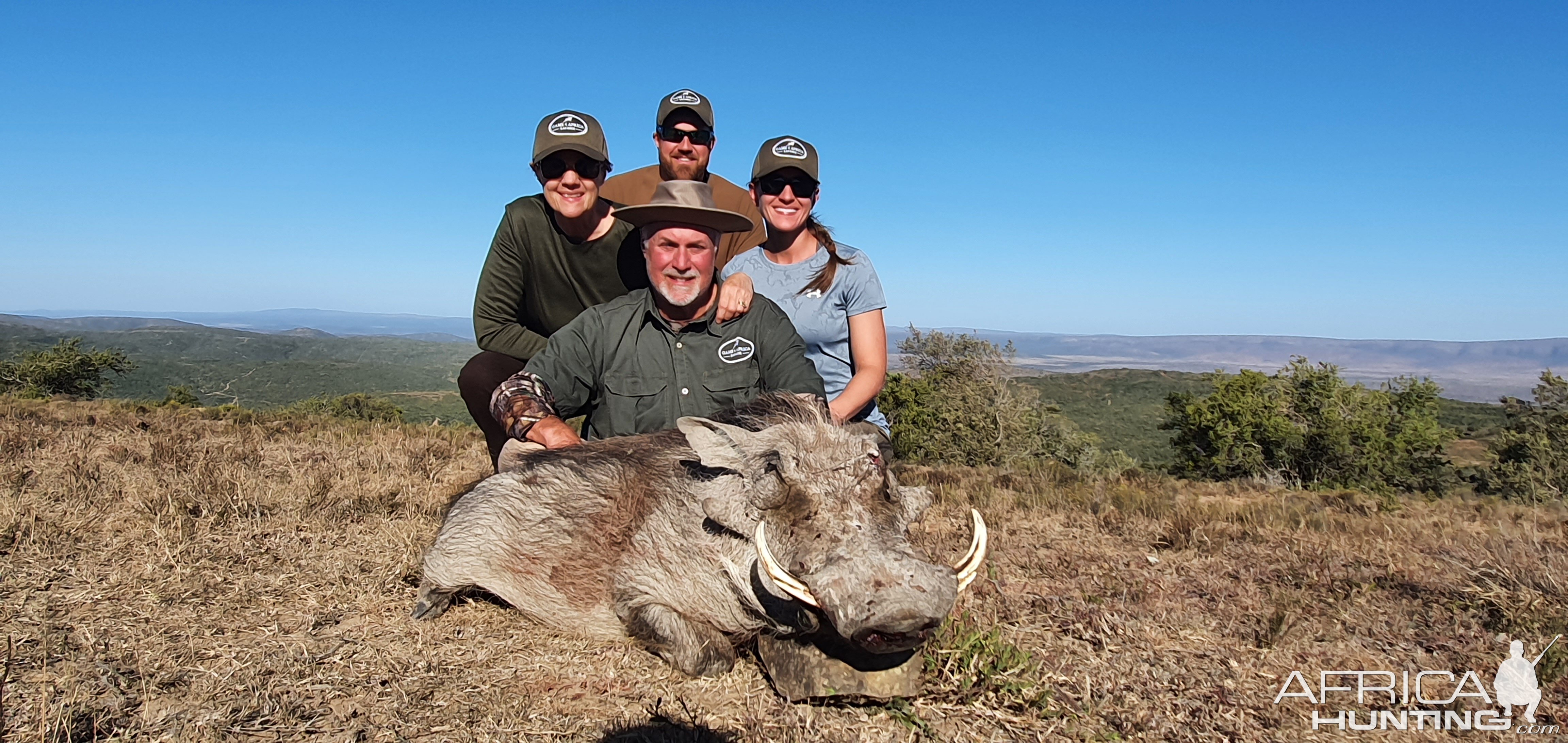 Warthog Hunting South Africa