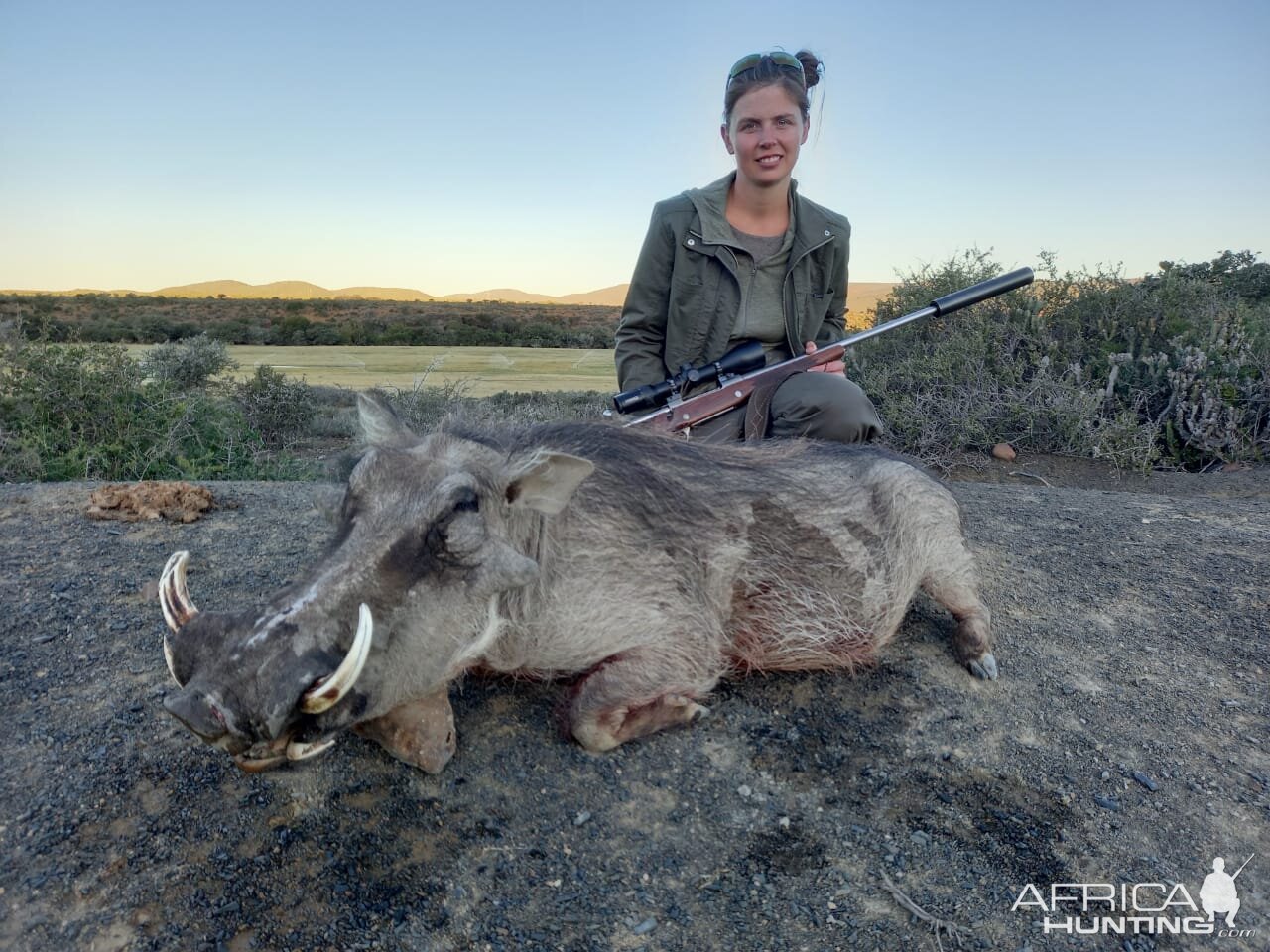 Warthog Hunting South Africa